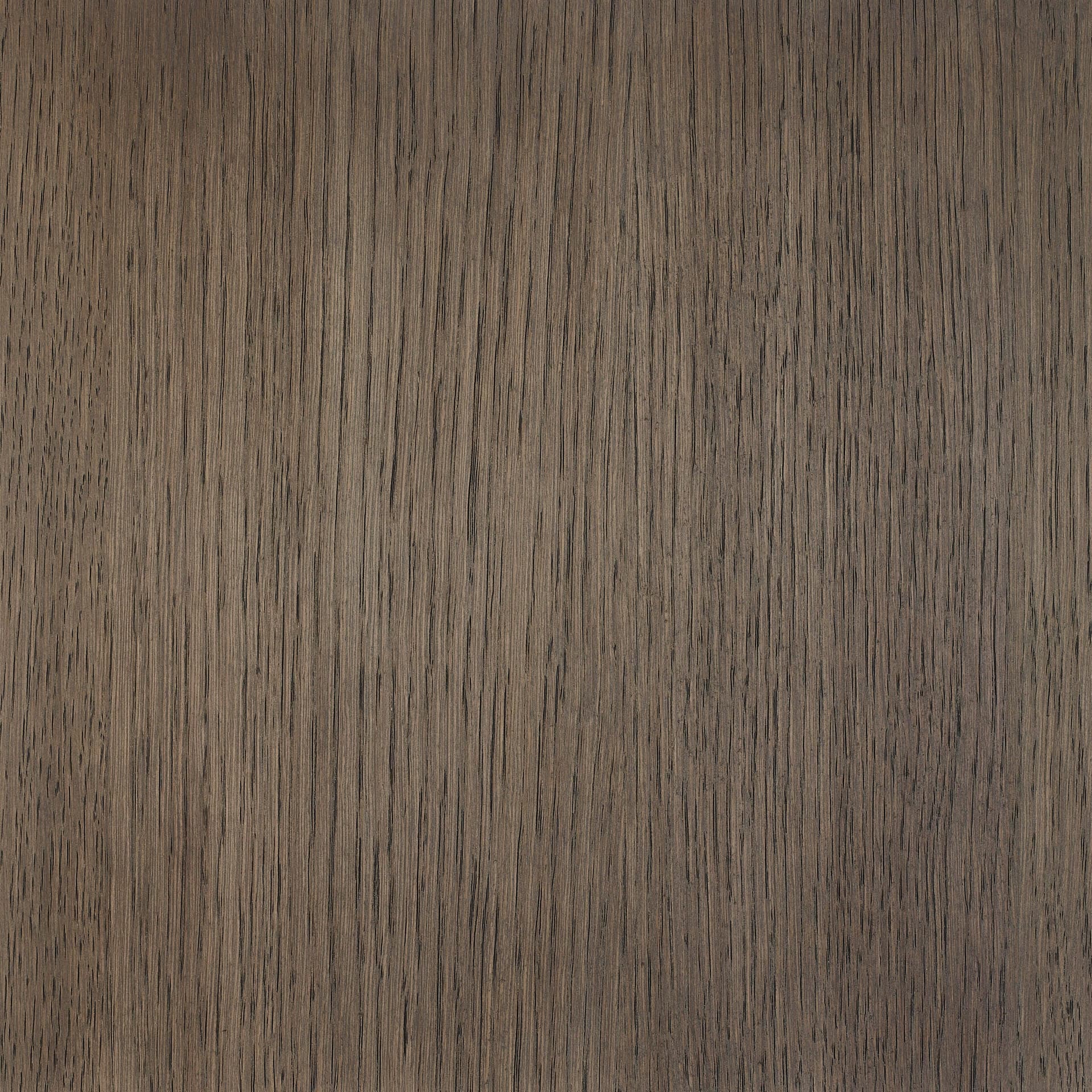 Neutral White colour swatch on wood