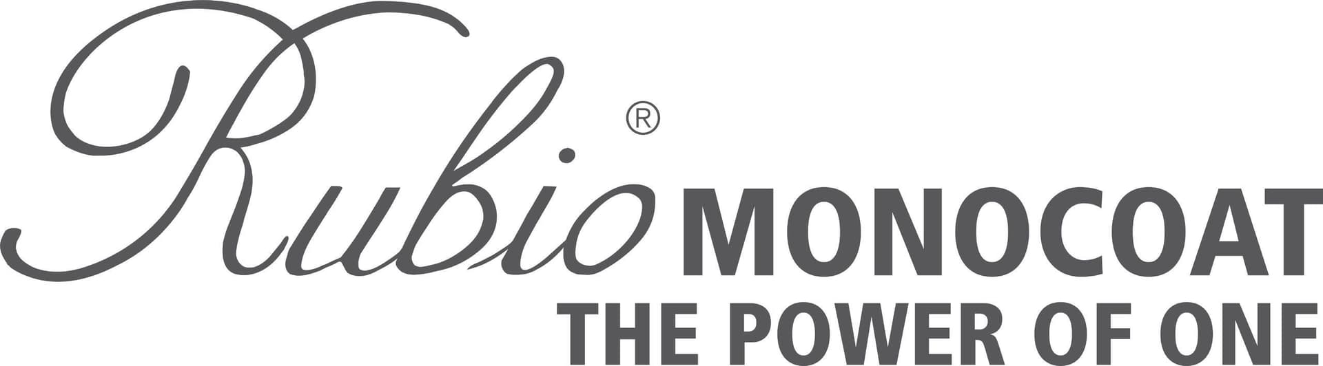 LOGO_GREY_Horizontal_The Power of One