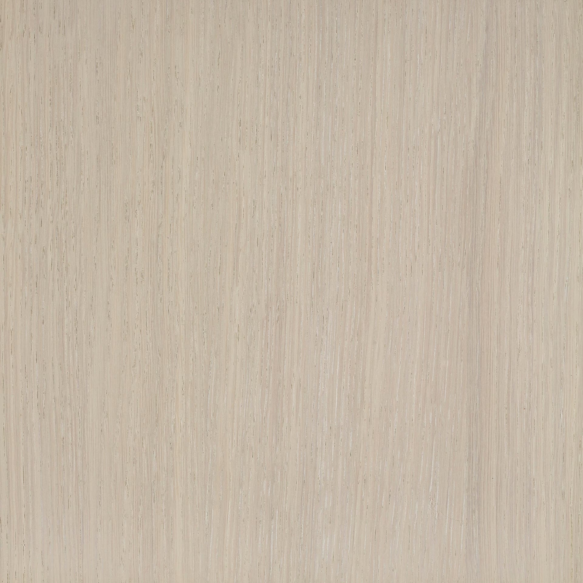 Neutral White colour swatch on wood