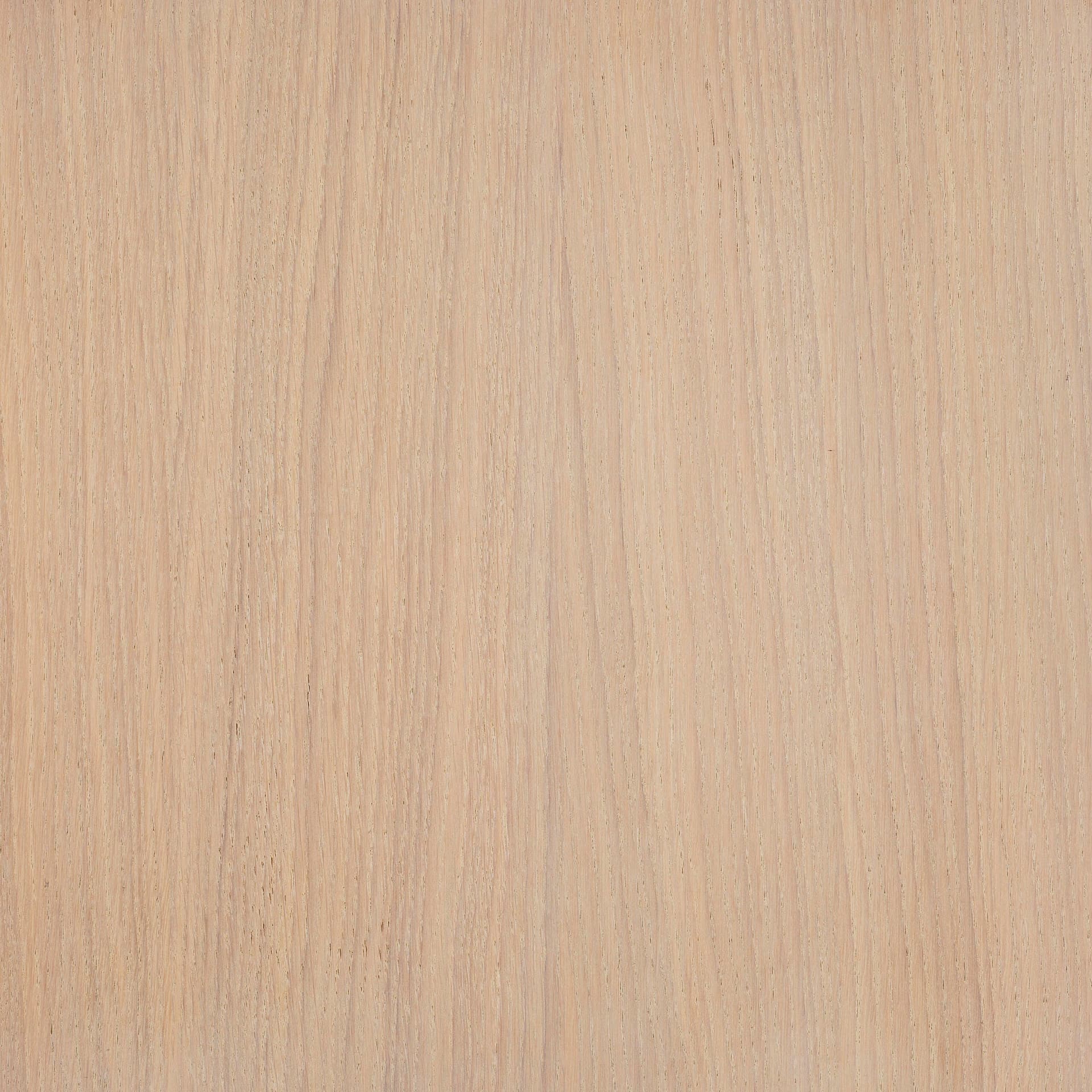 Cotton White colour swatch on wood