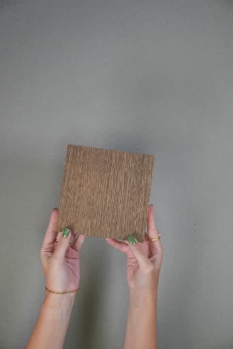 2-3_ShellGreyGreybackdrop