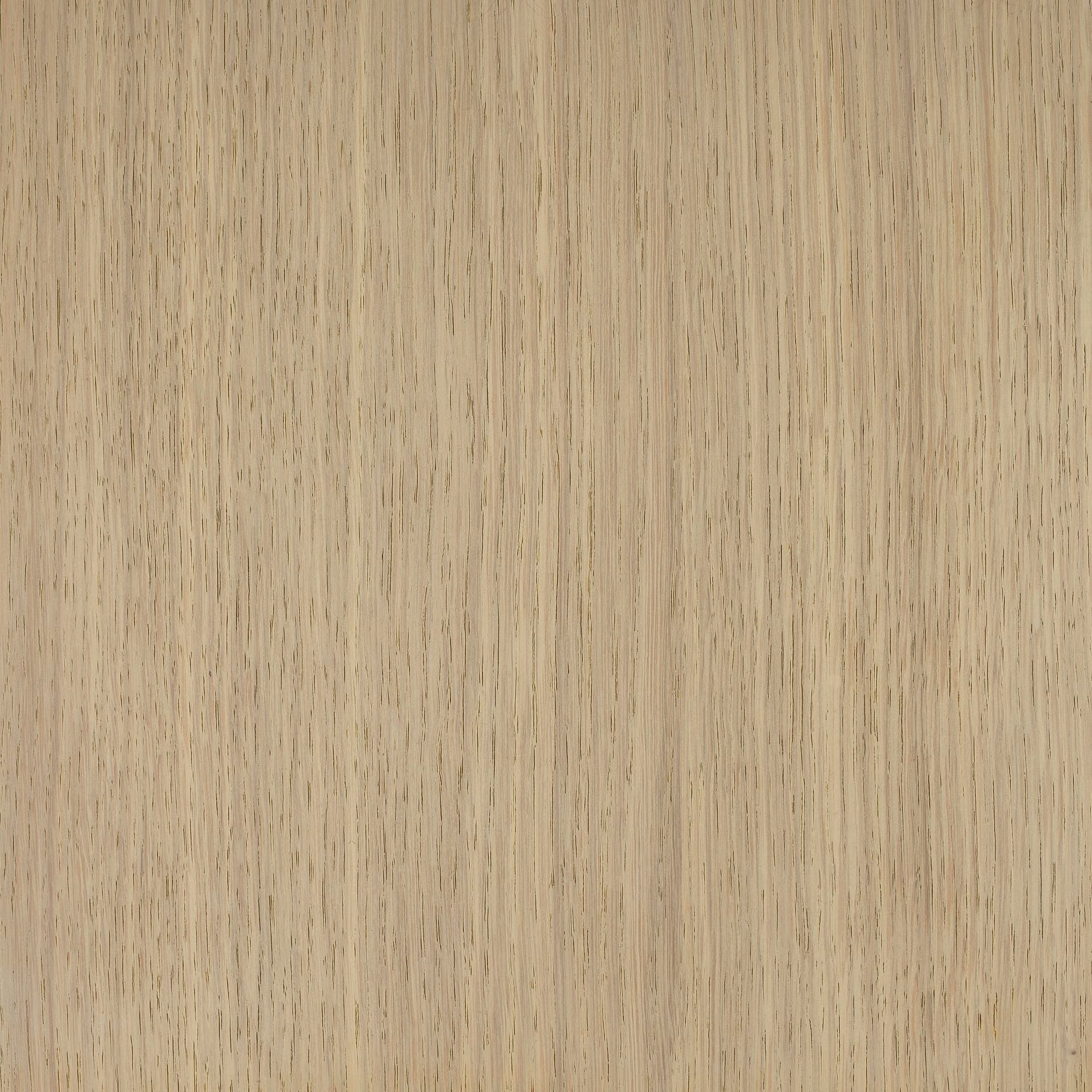 Neutral White colour swatch on wood