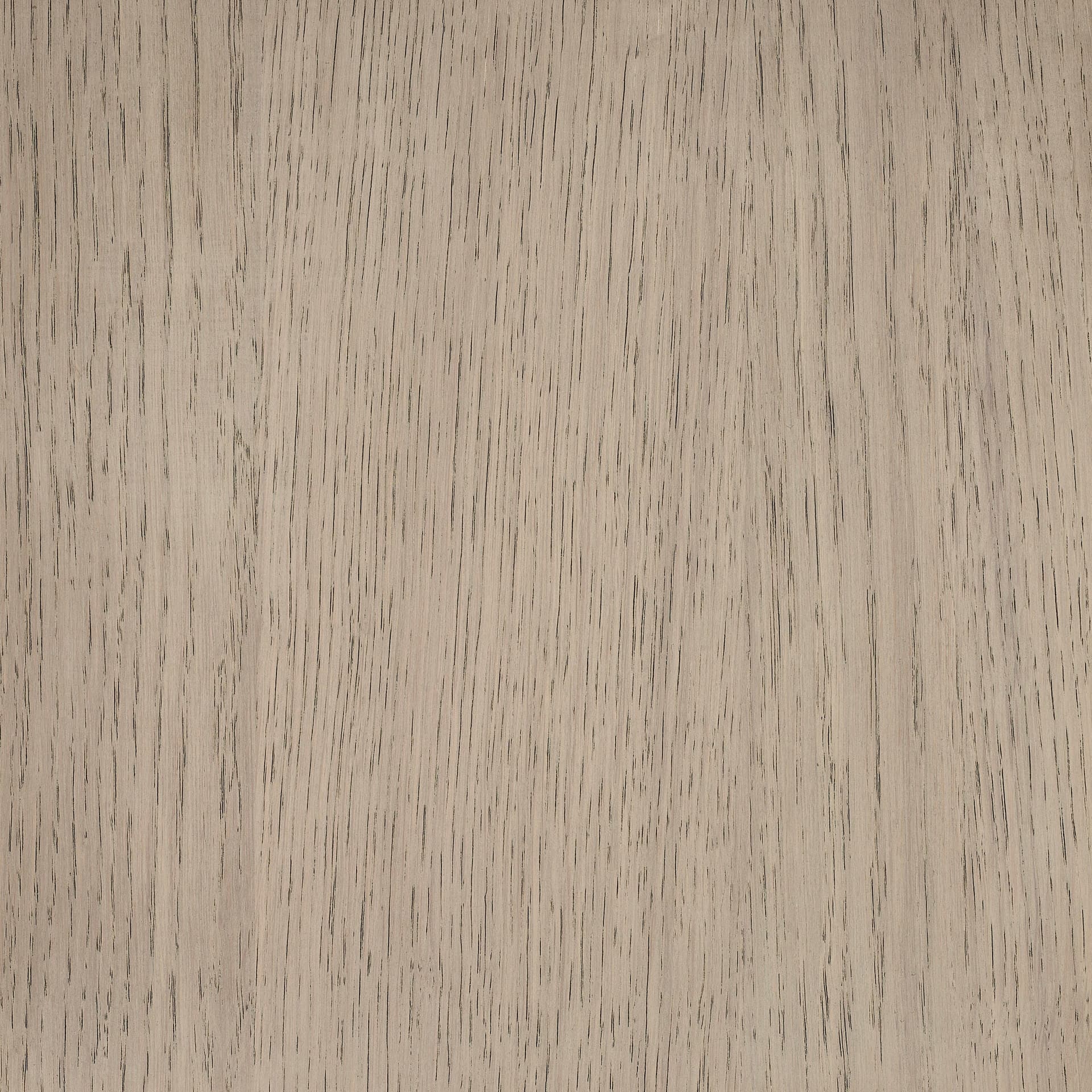 Arctic White colour swatch on wood