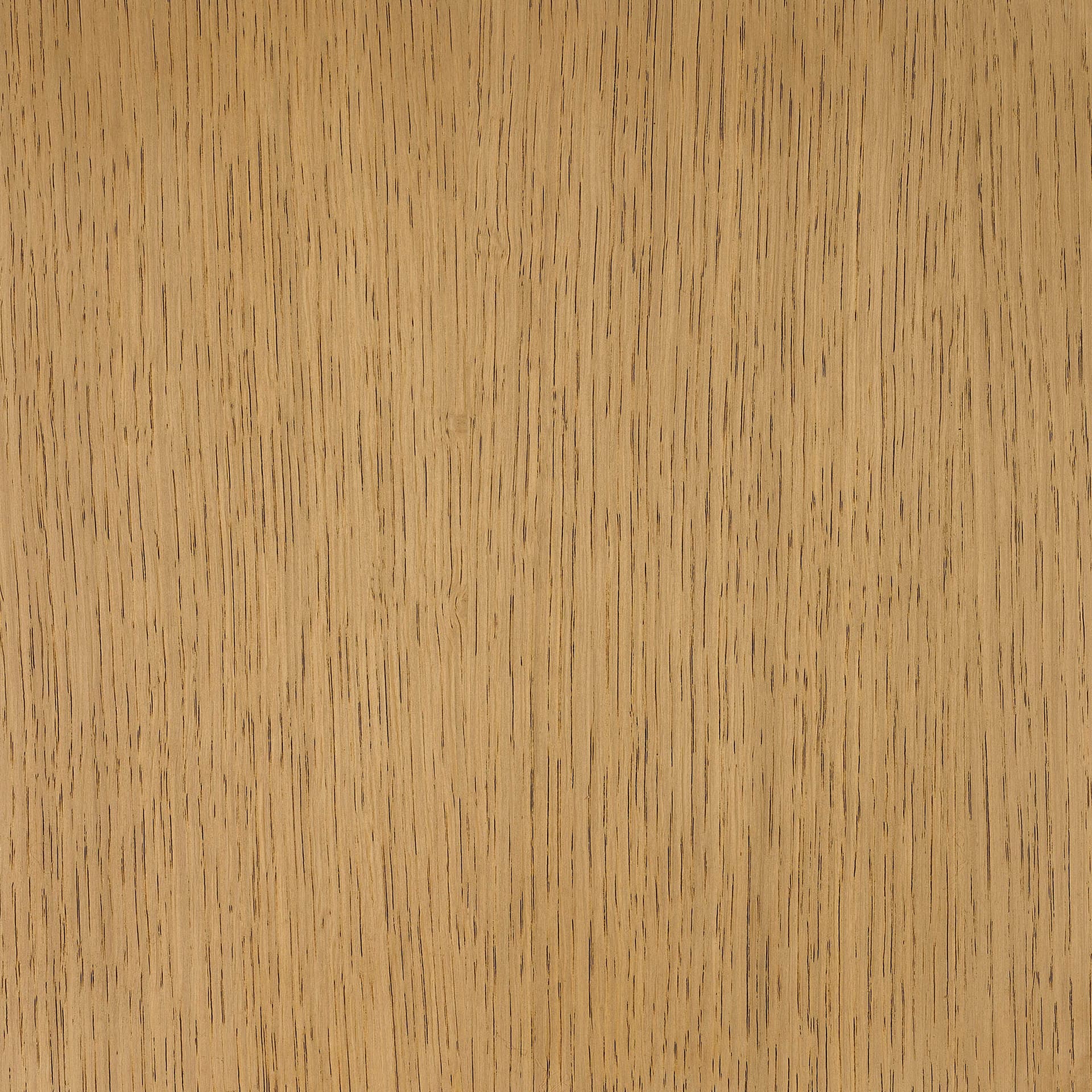 Neutral White colour swatch on wood