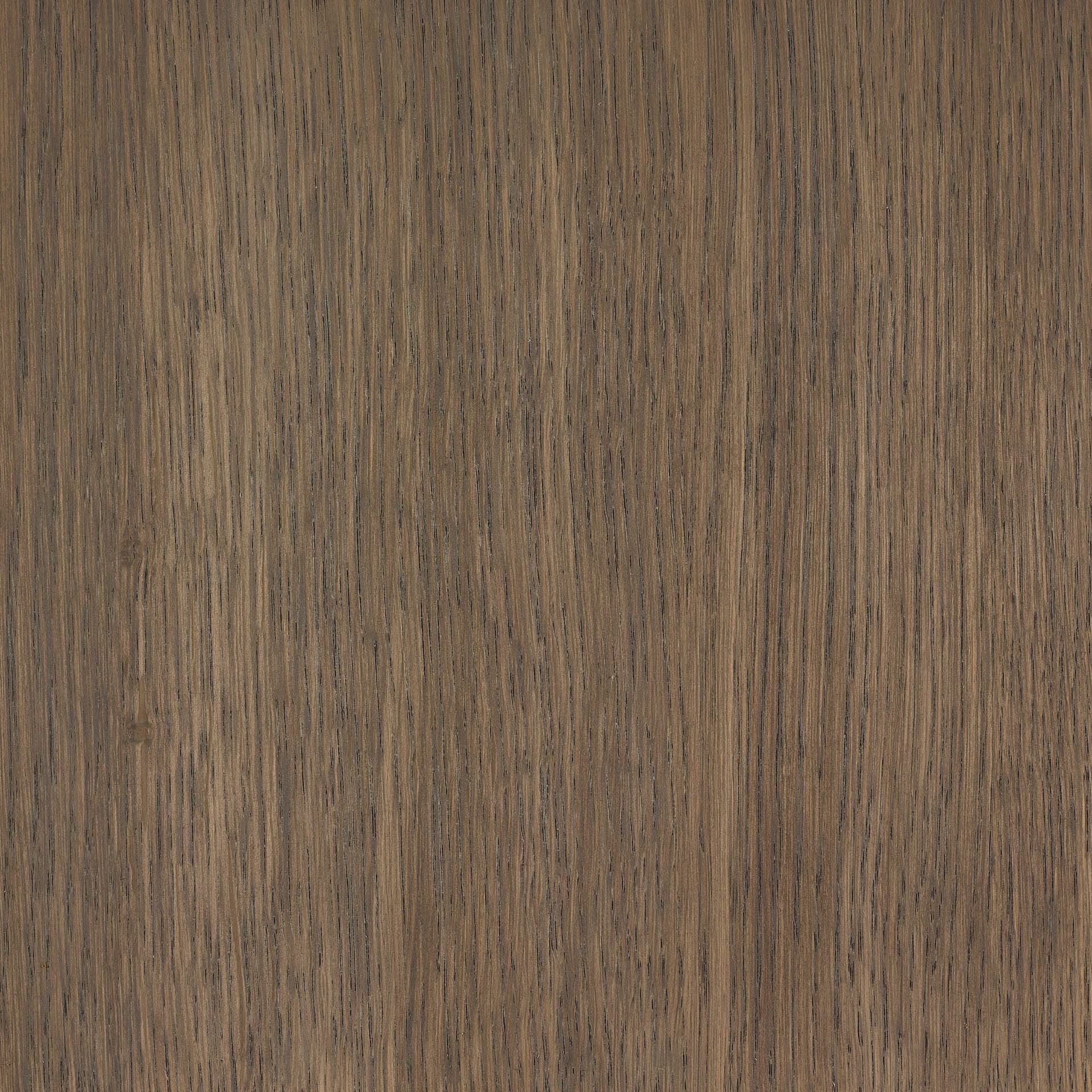 Terra Brown colour swatch on wood