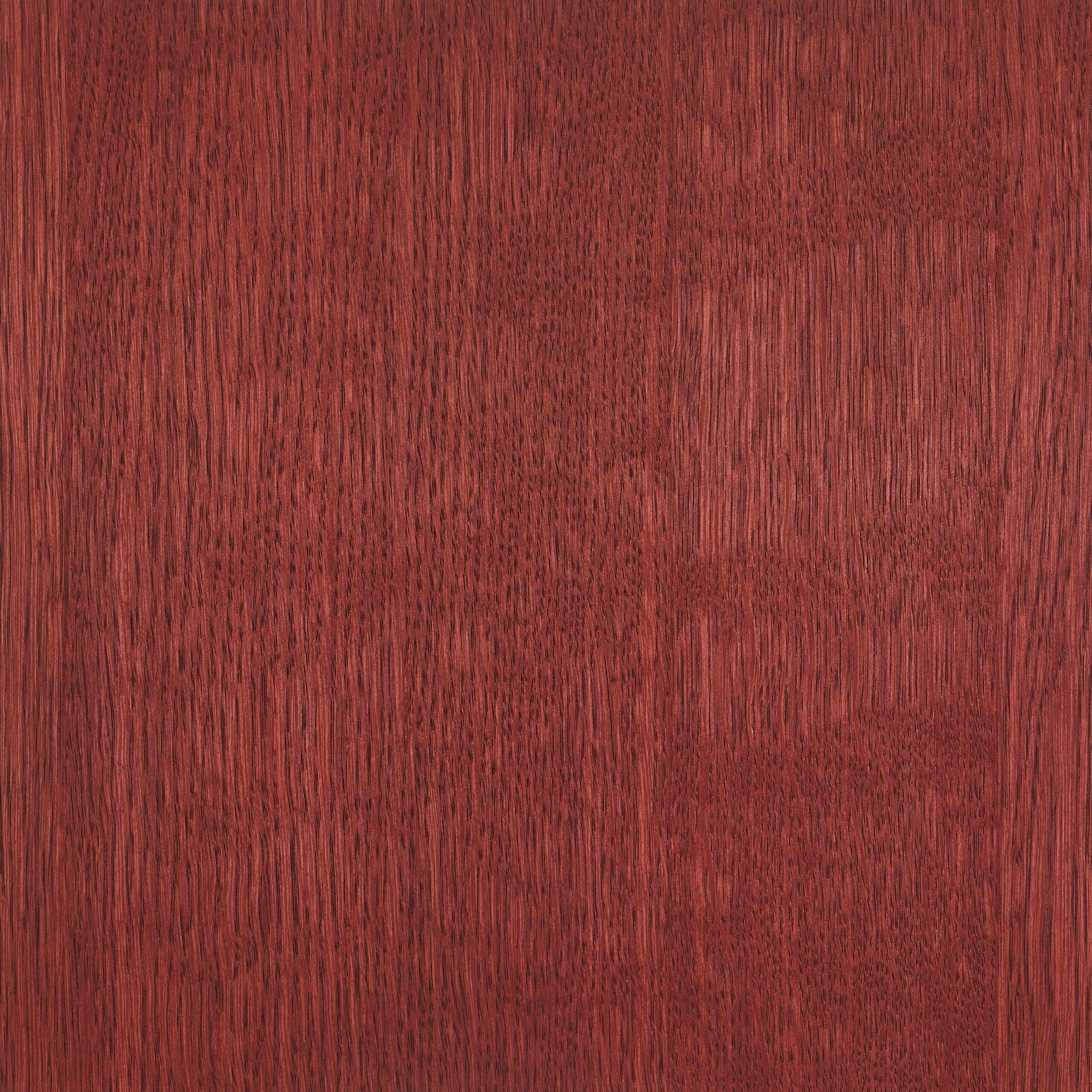 Red Velvet colour swatch on wood