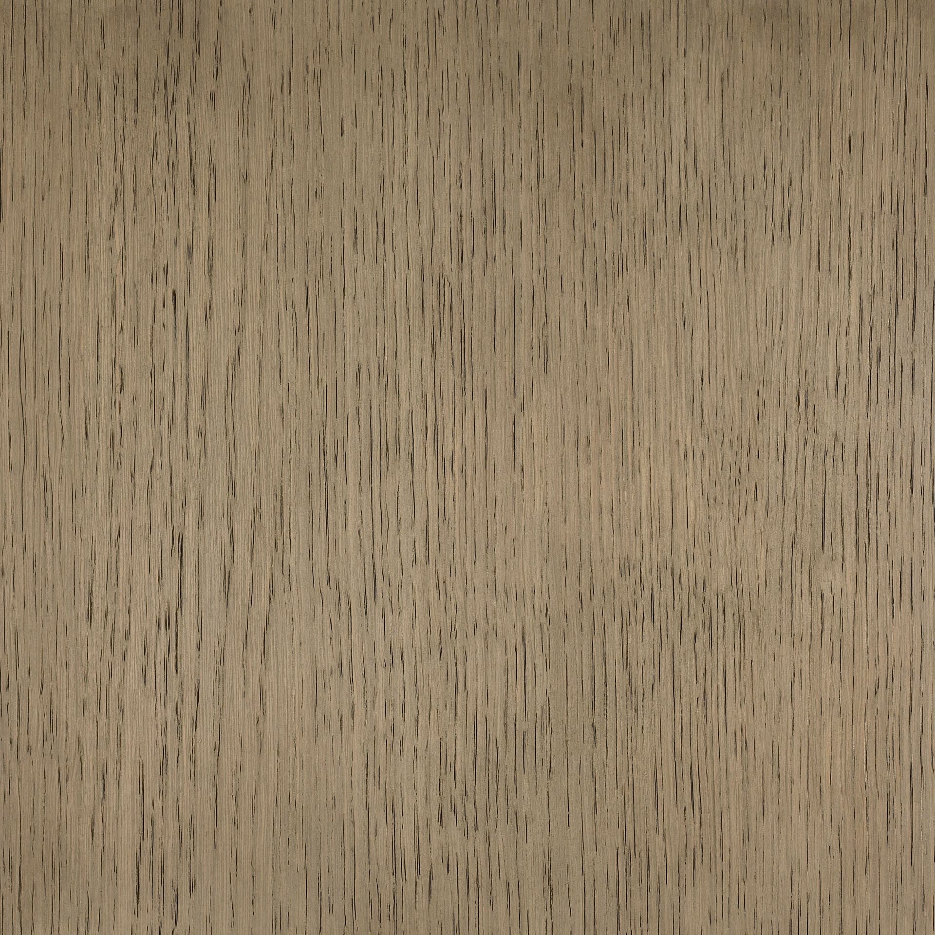 Neutral White colour swatch on wood