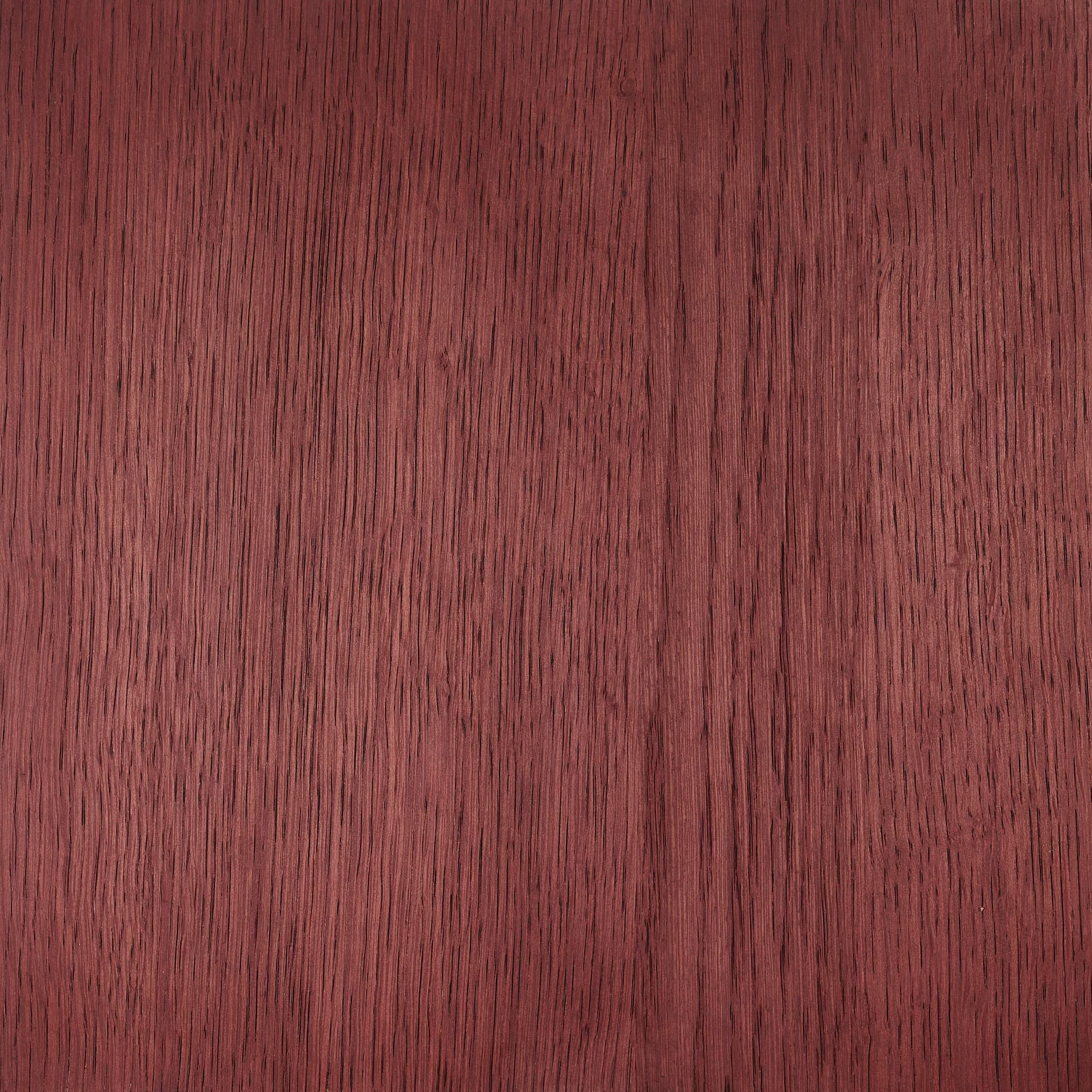 Neutral White colour swatch on wood