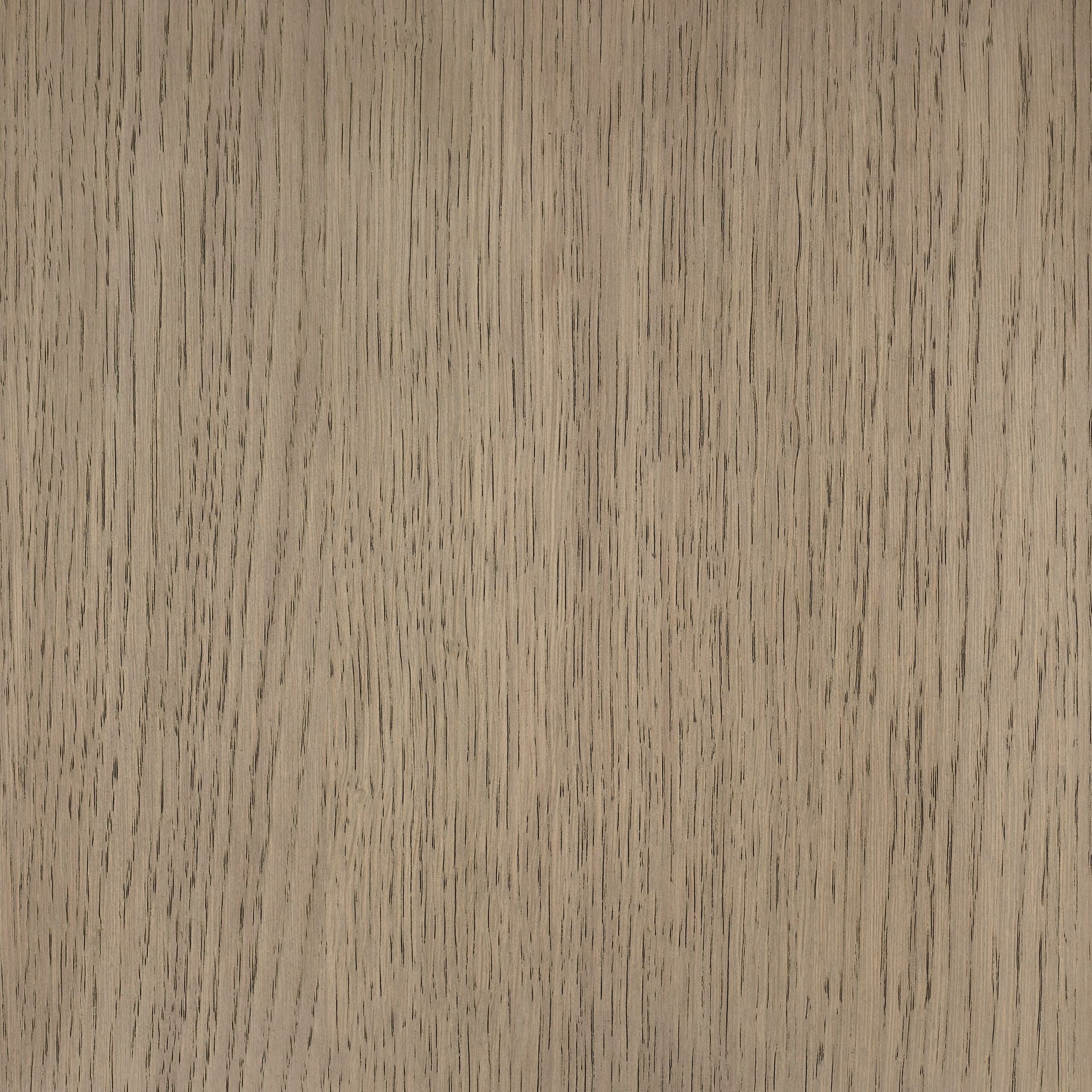 Neutral White colour swatch on wood