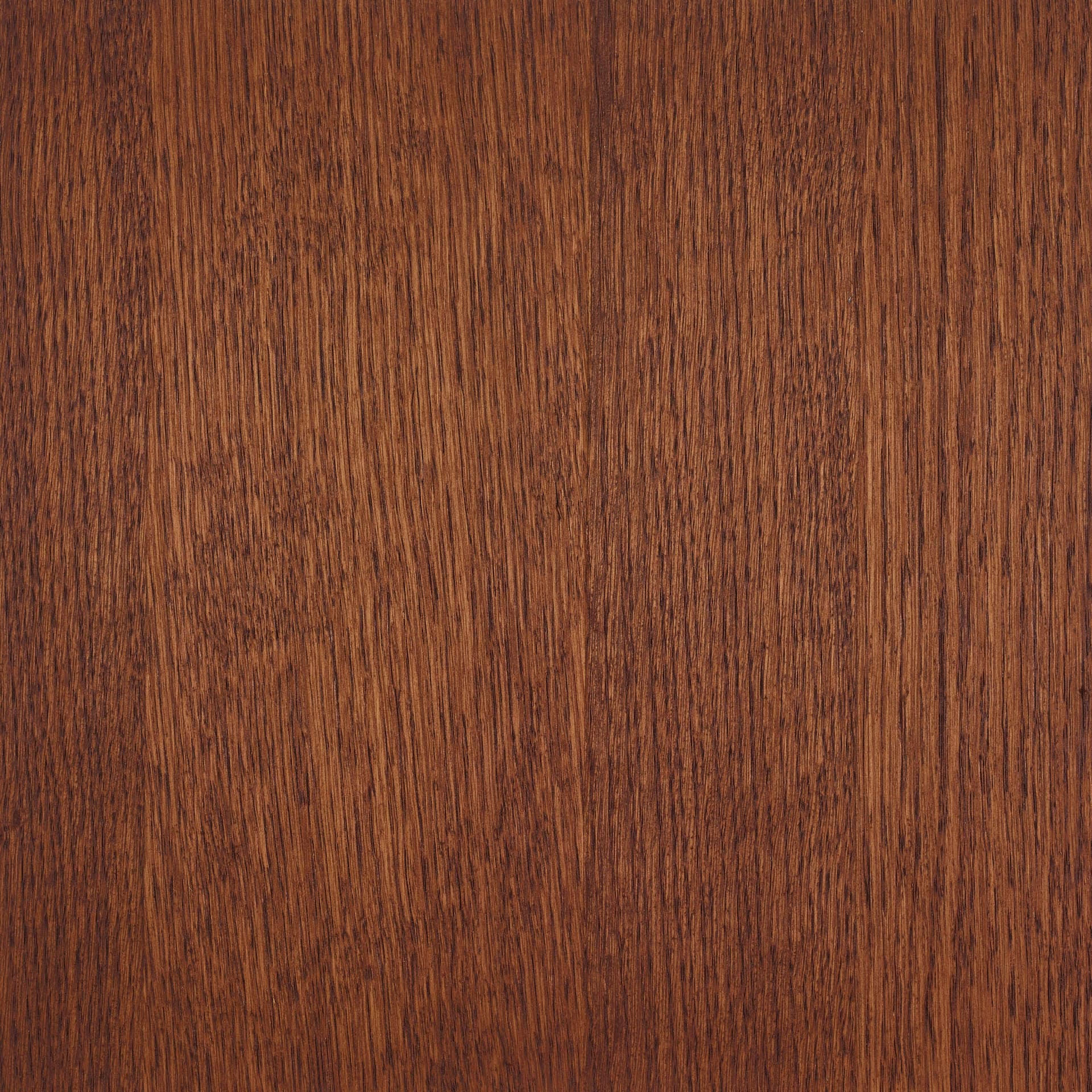 Arabica colour swatch on wood