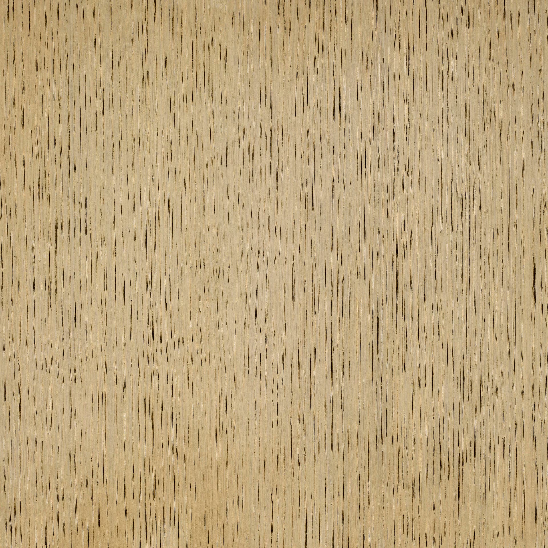 Arctic White colour swatch on wood