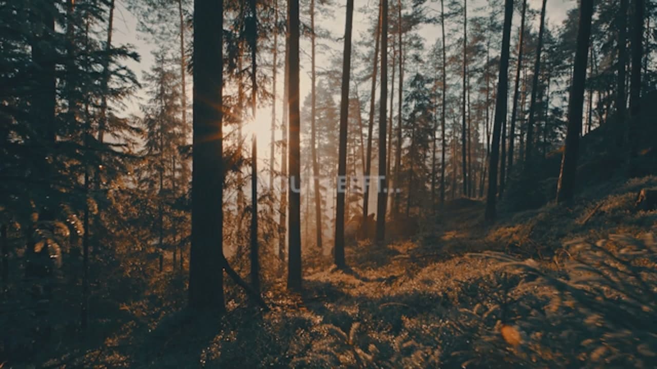ILA_LDV_RUBIO_EMO_LONG_YT_NL_DEF 2