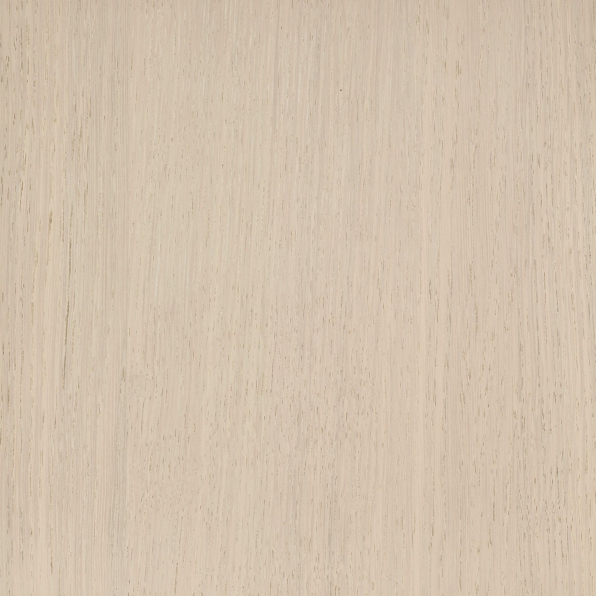 Arctic White colour swatch on wood