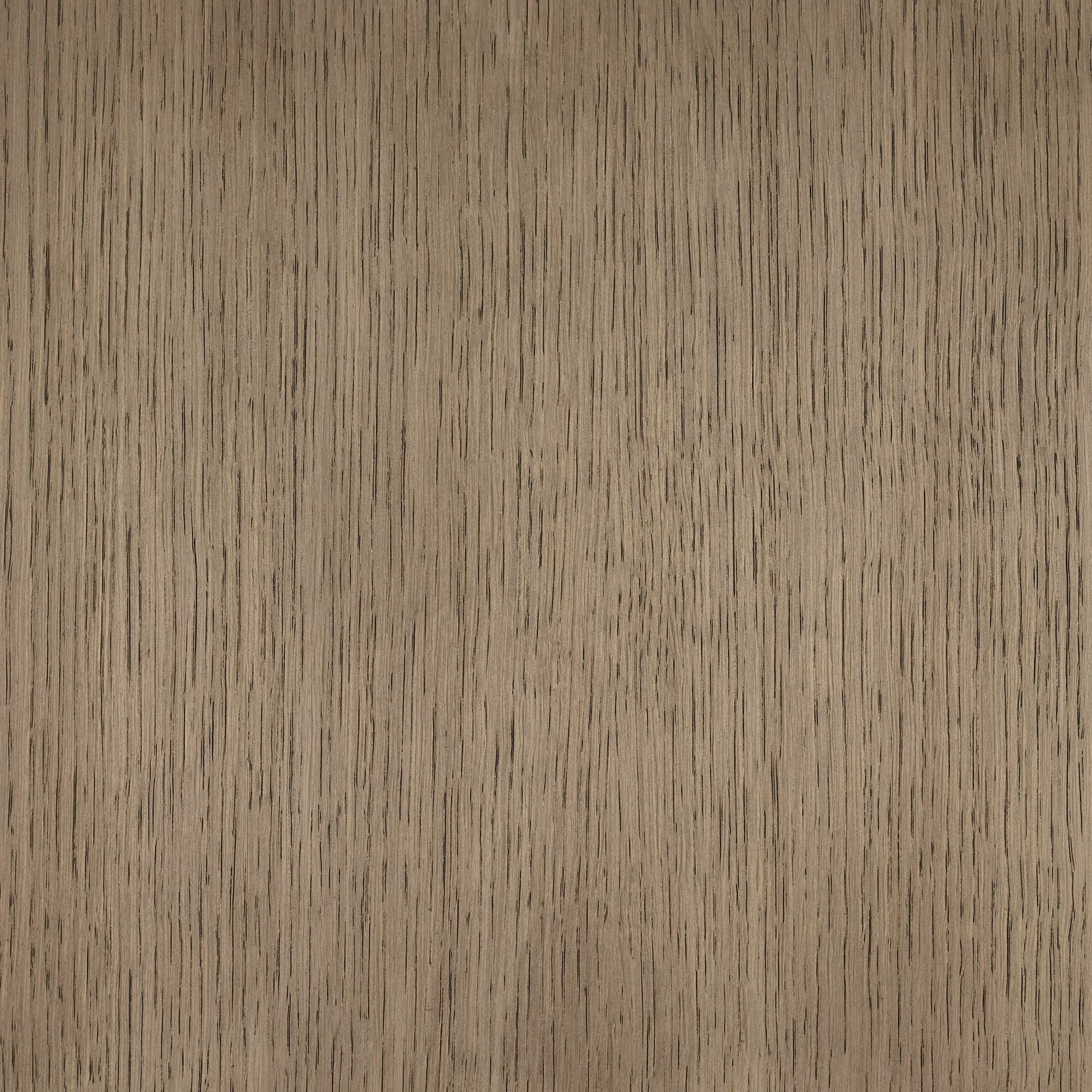 Neutral White colour swatch on wood