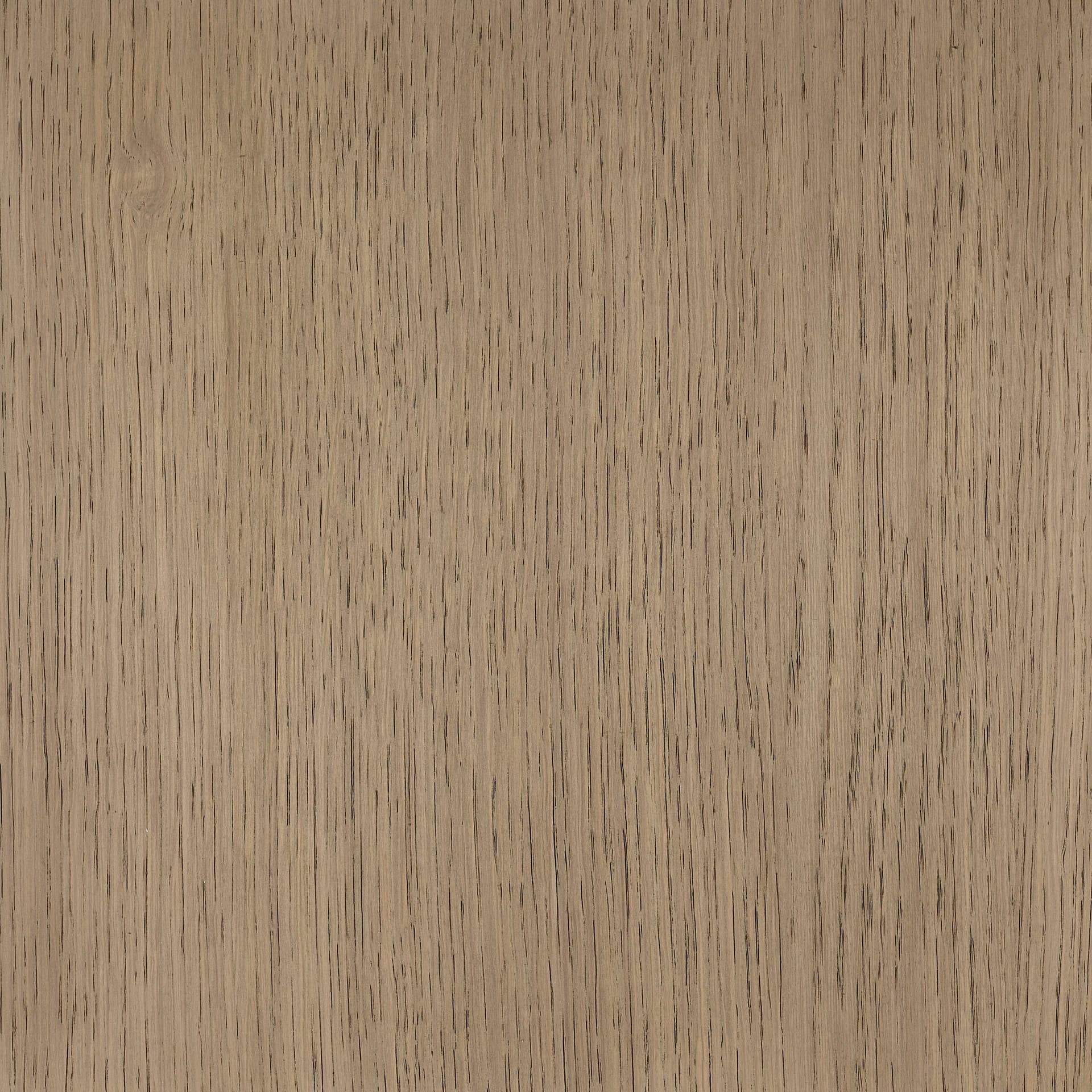 Neutral White colour swatch on wood