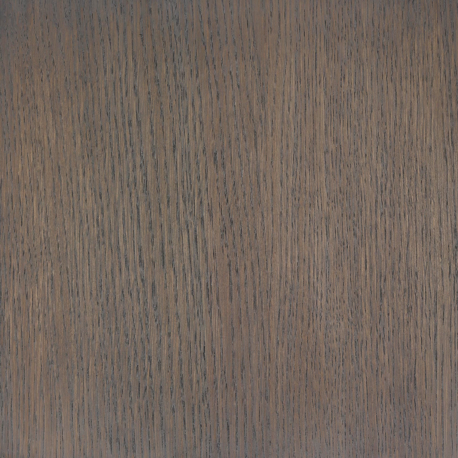 Terra Brown colour swatch on wood