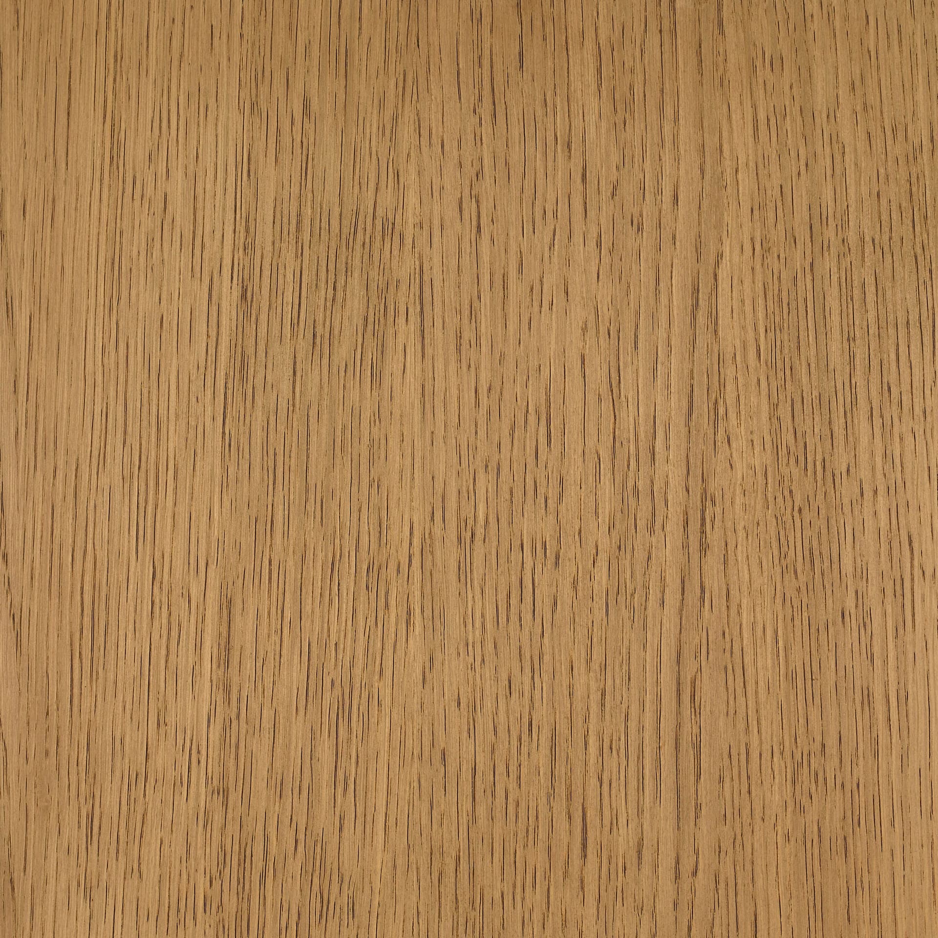 Neutral White colour swatch on wood