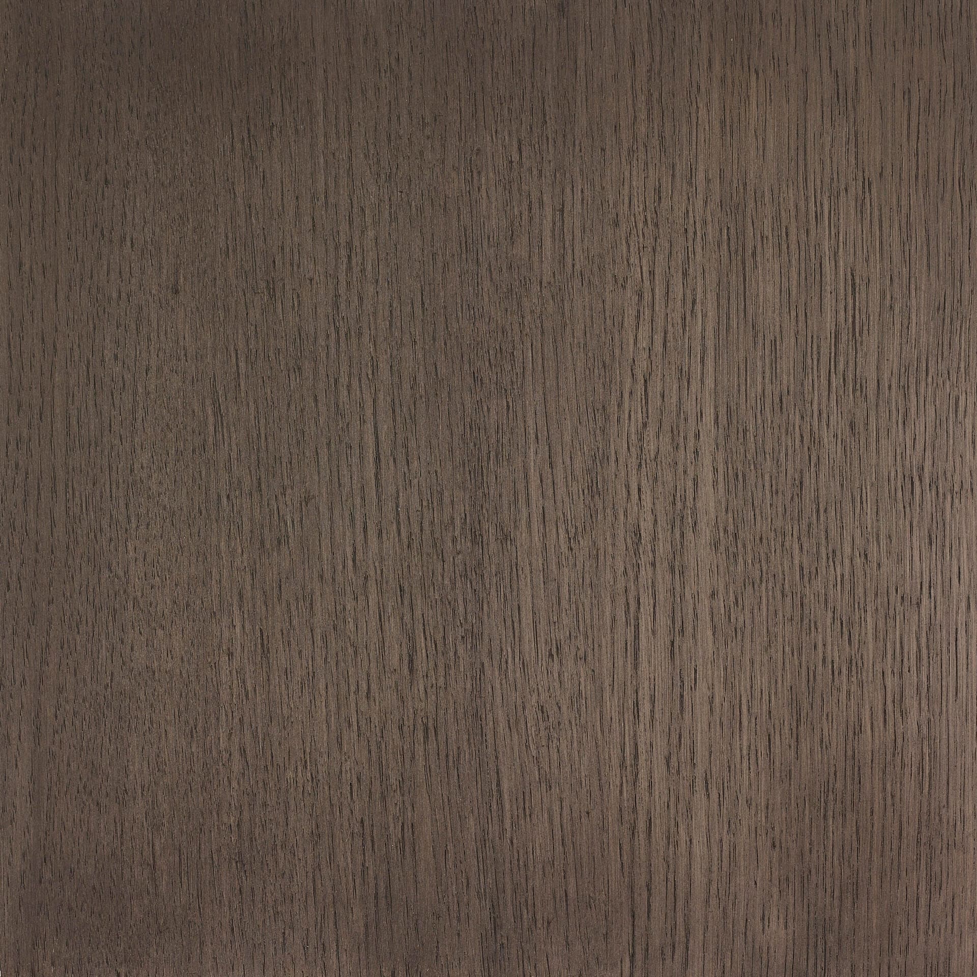Arctic White colour swatch on wood