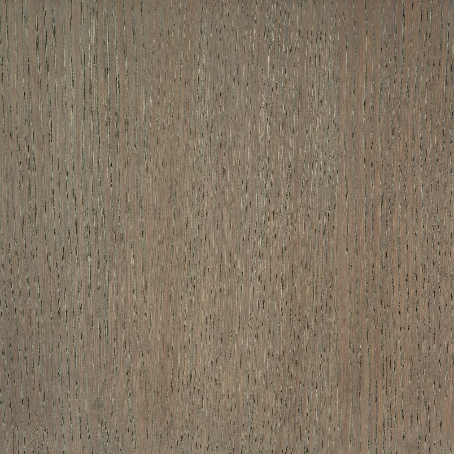 Terra Brown colour swatch on wood
