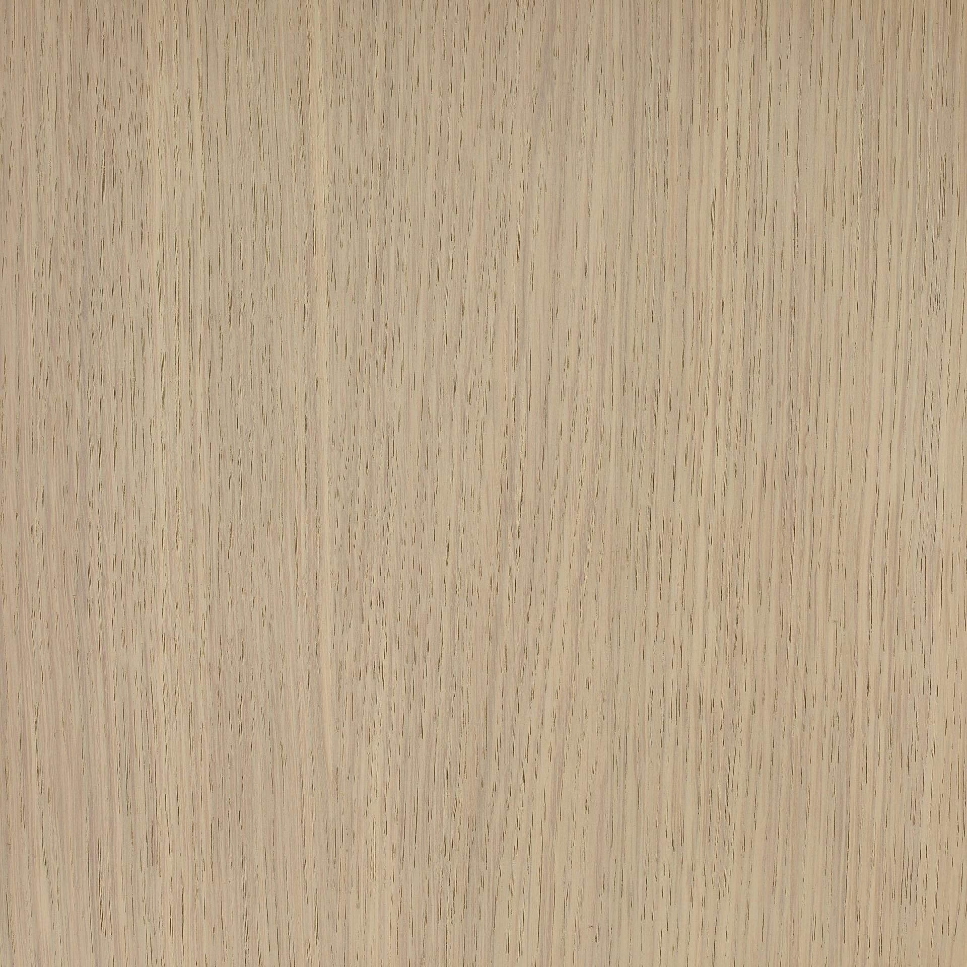 Neutral White colour swatch on wood