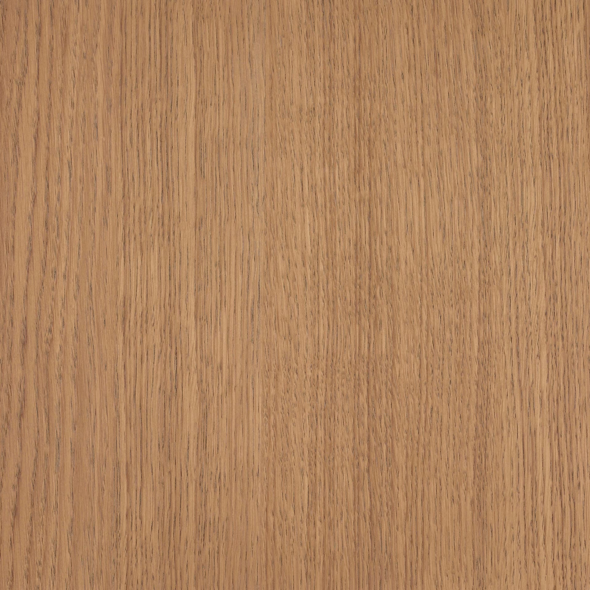 Oyster colour swatch on wood
