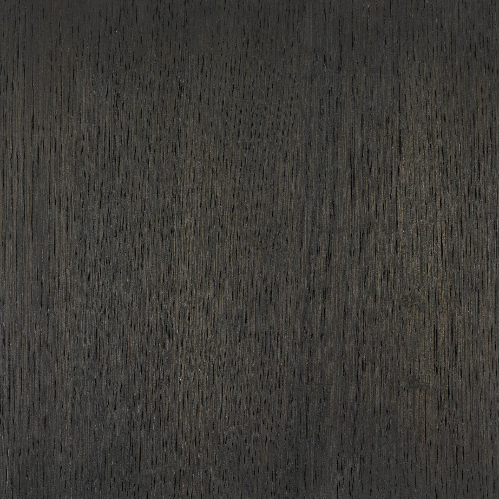 Neutral White colour swatch on wood