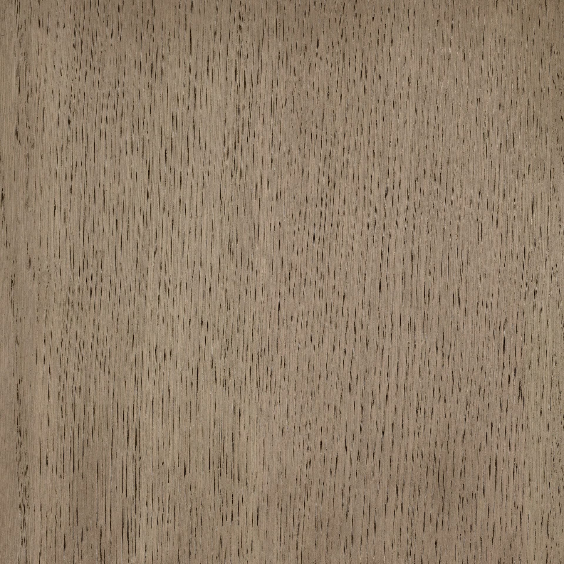 Arctic White colour swatch on wood