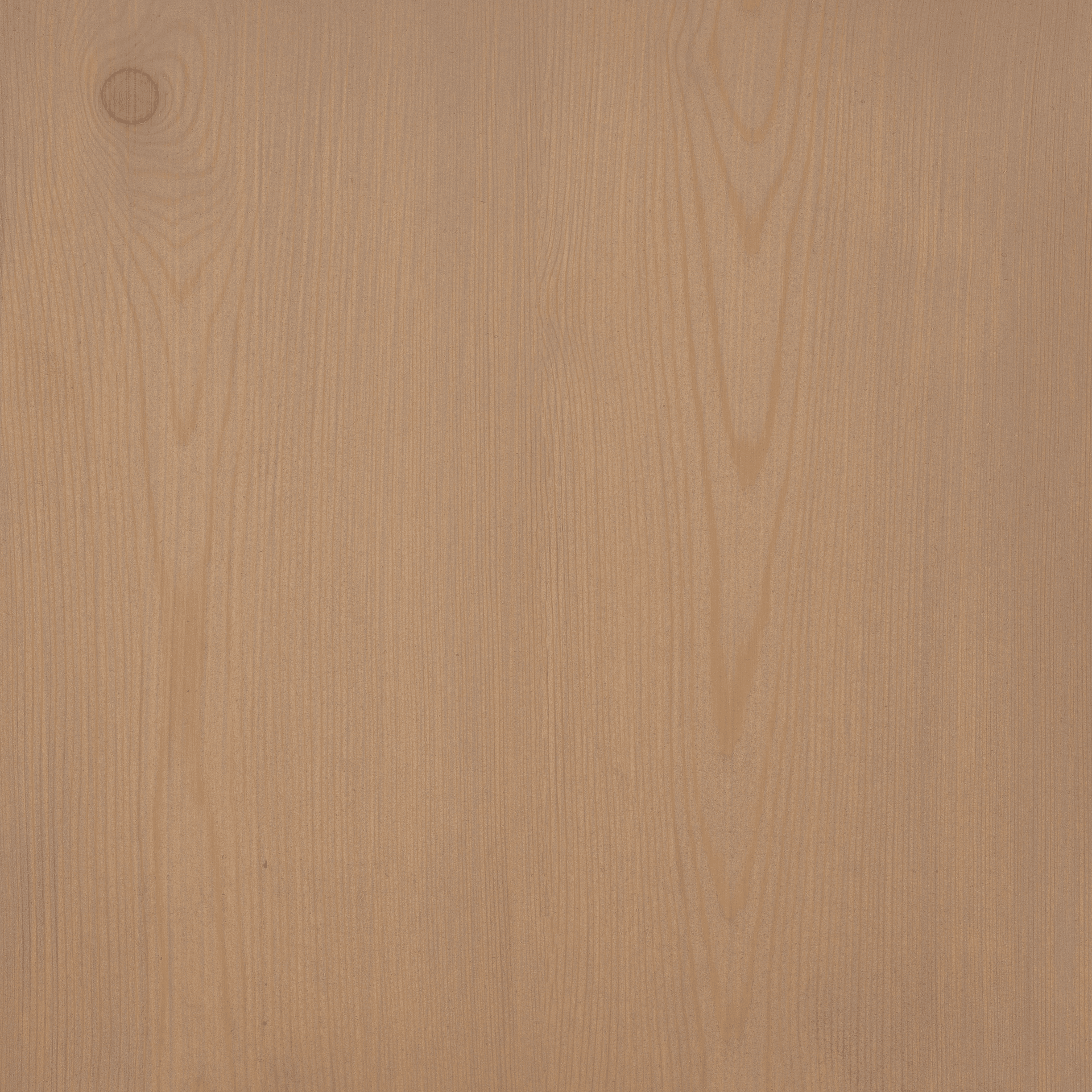 Atacama Grey colour swatch on wood