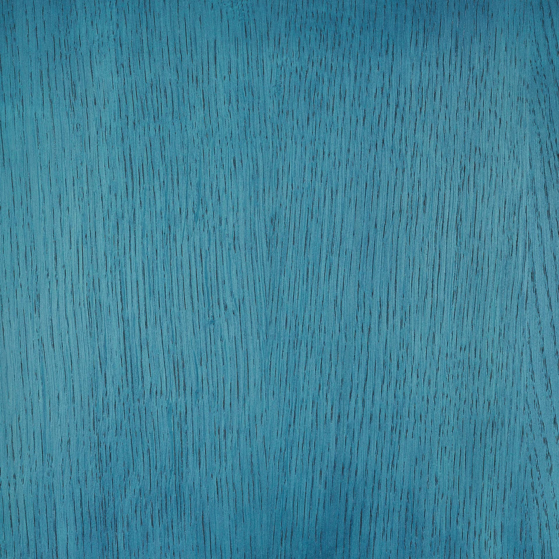 Arctic White colour swatch on wood