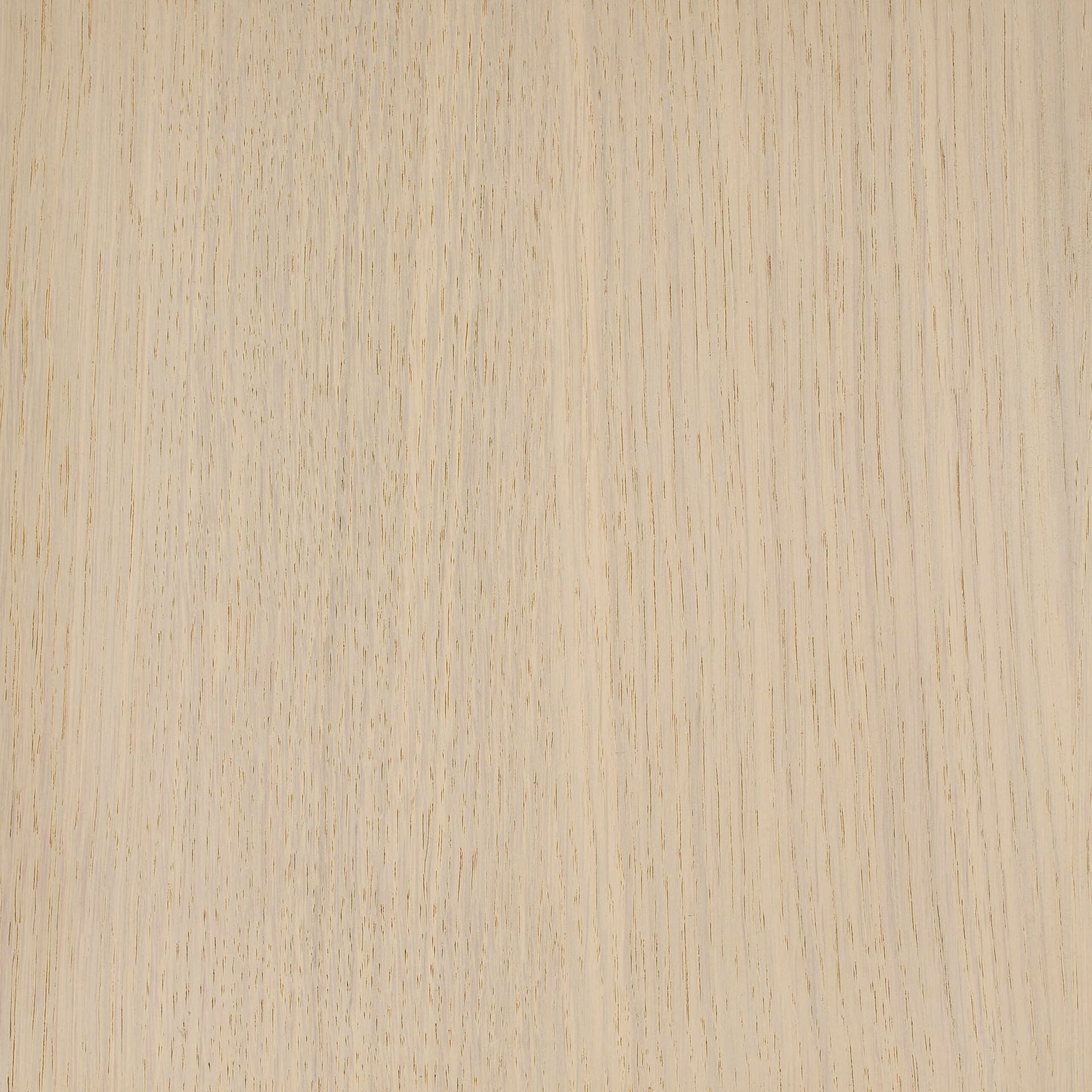 Arctic White colour swatch on wood