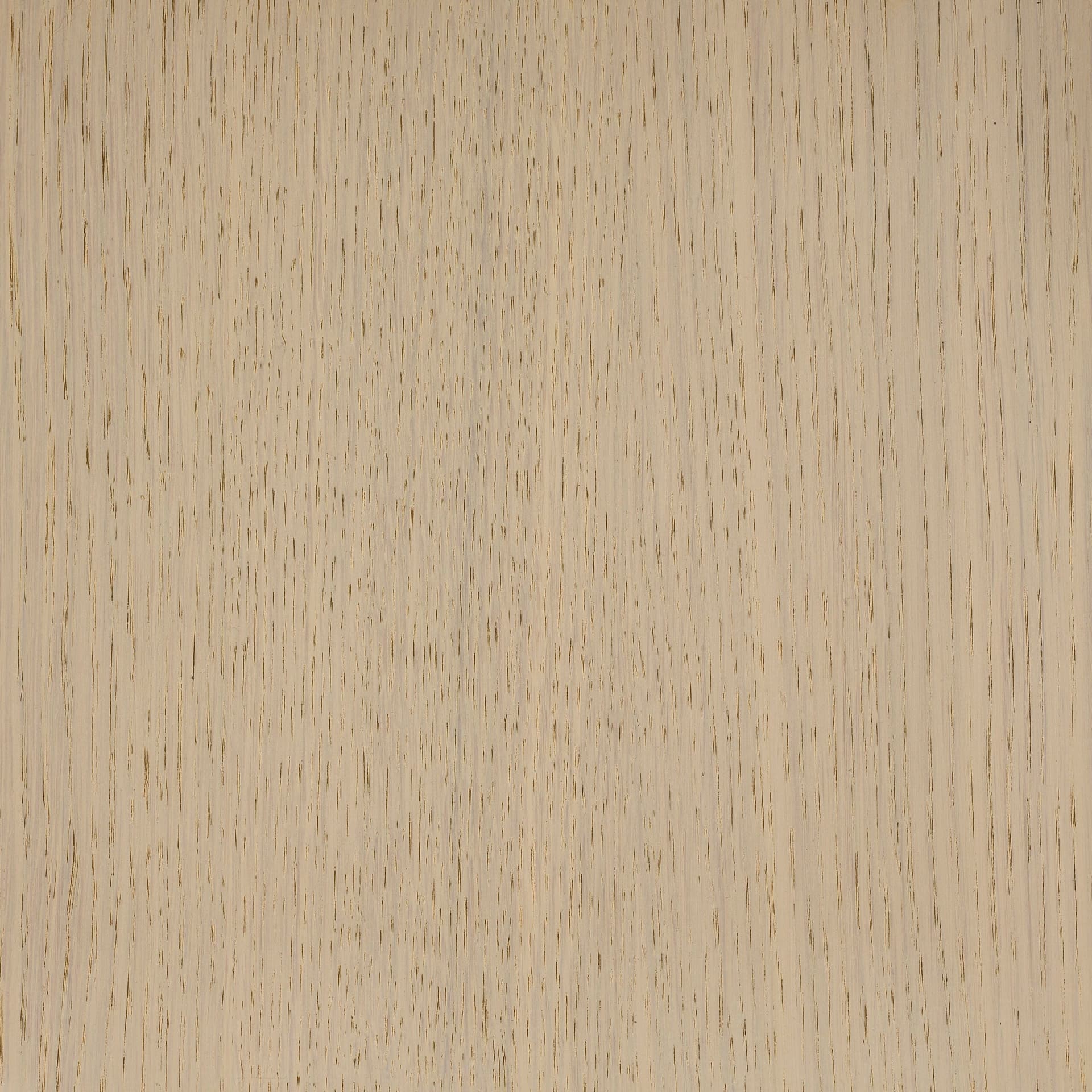 Arctic White colour swatch on wood