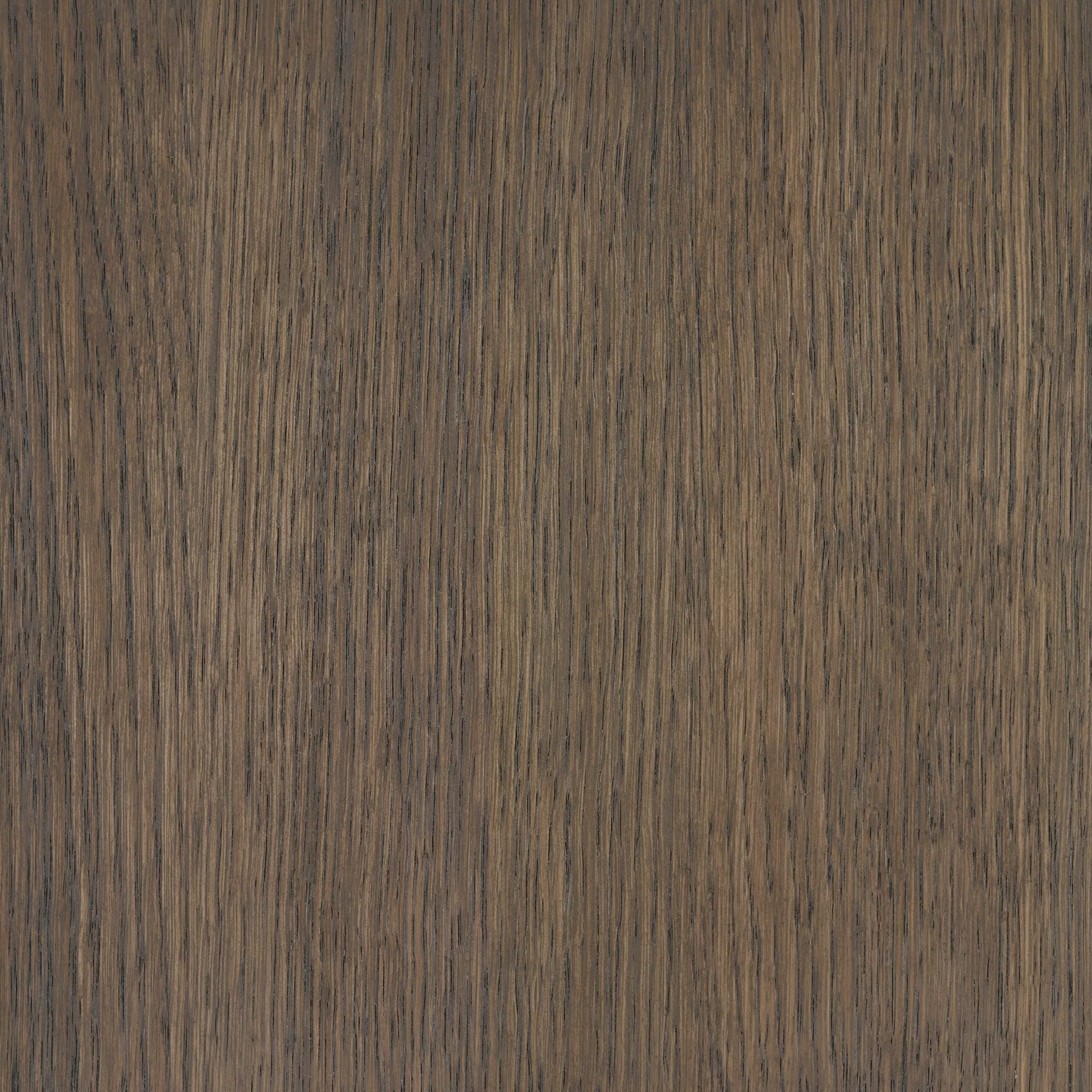 Terra Brown colour swatch on wood