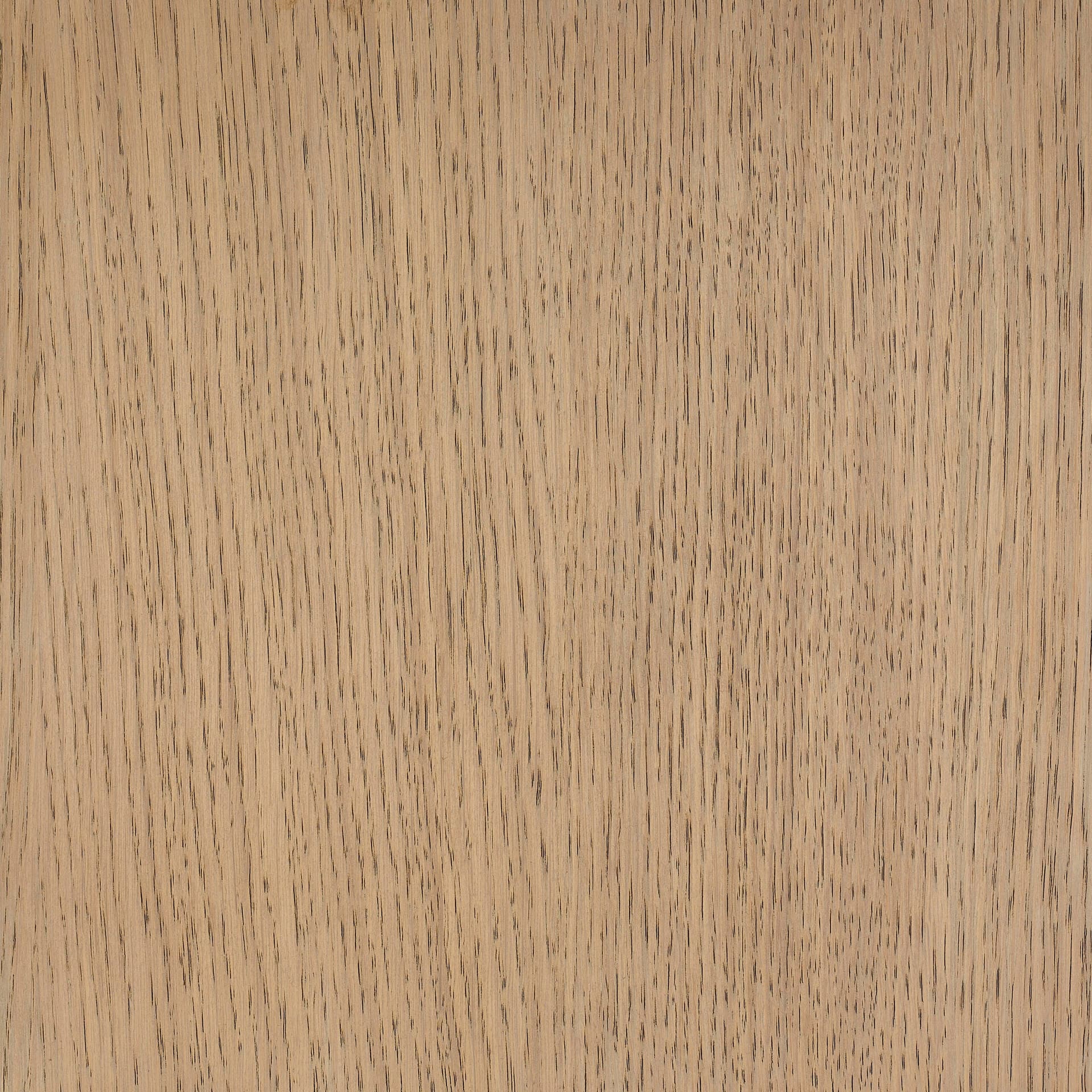 Neutral White colour swatch on wood