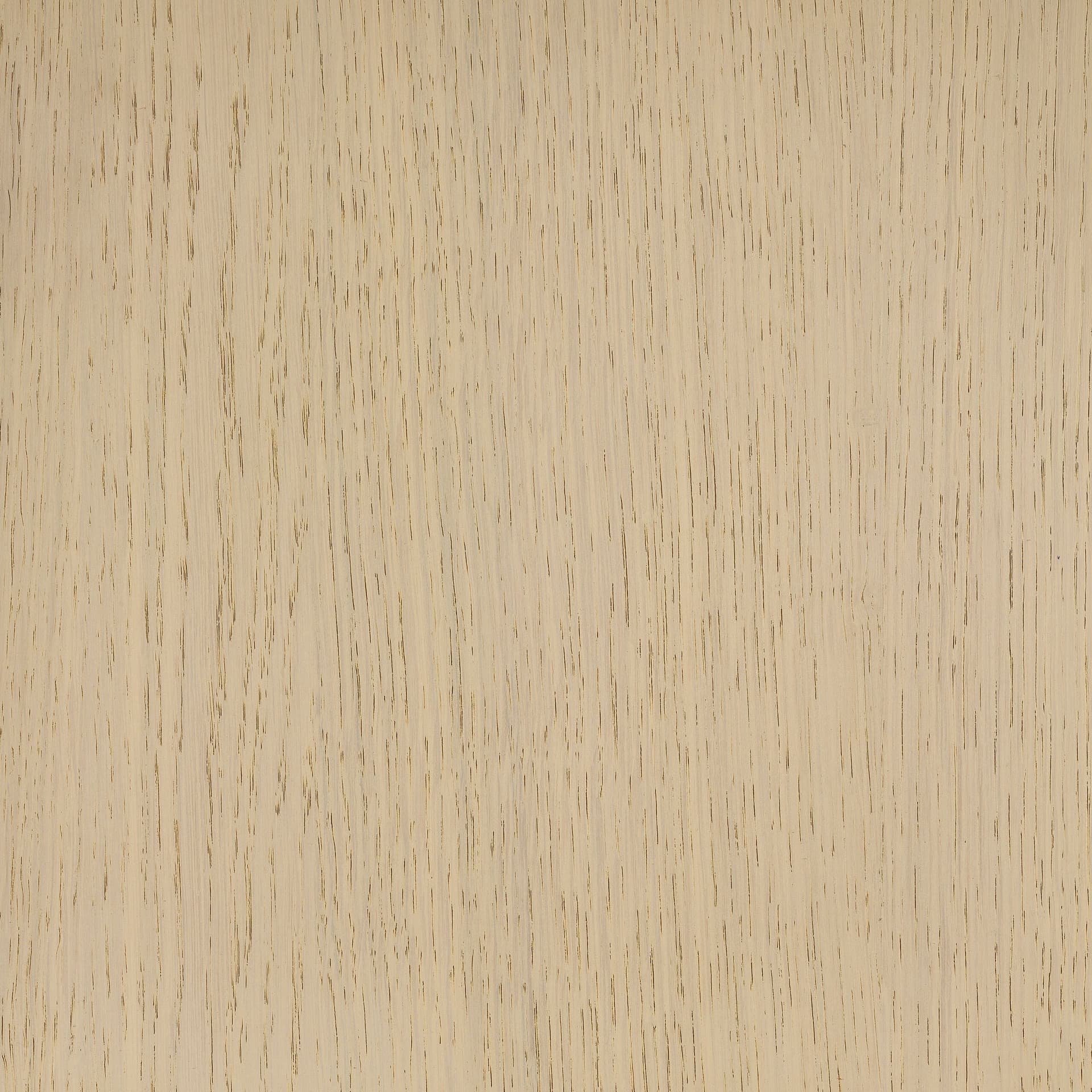 Arctic White colour swatch on wood