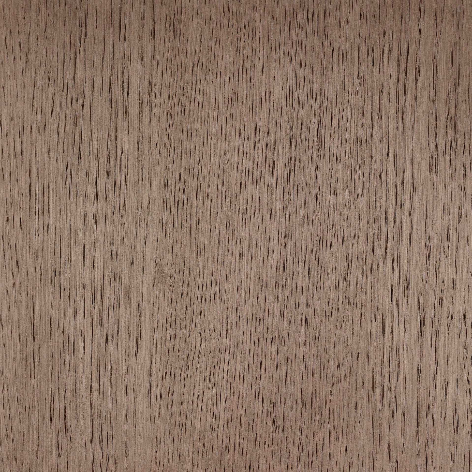 Arctic White colour swatch on wood