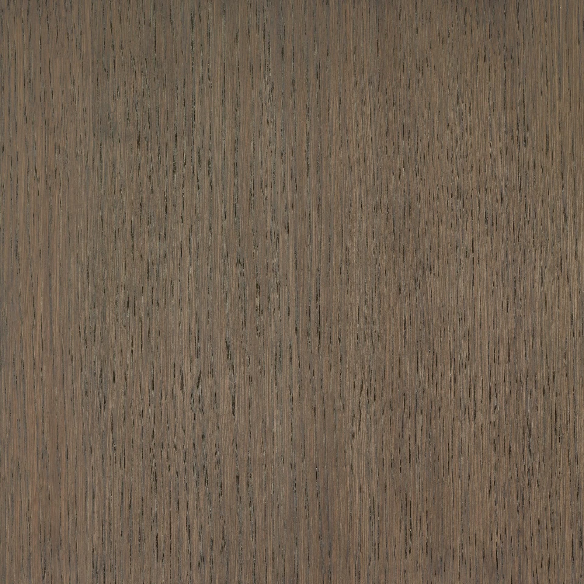 Terra Brown colour swatch on wood