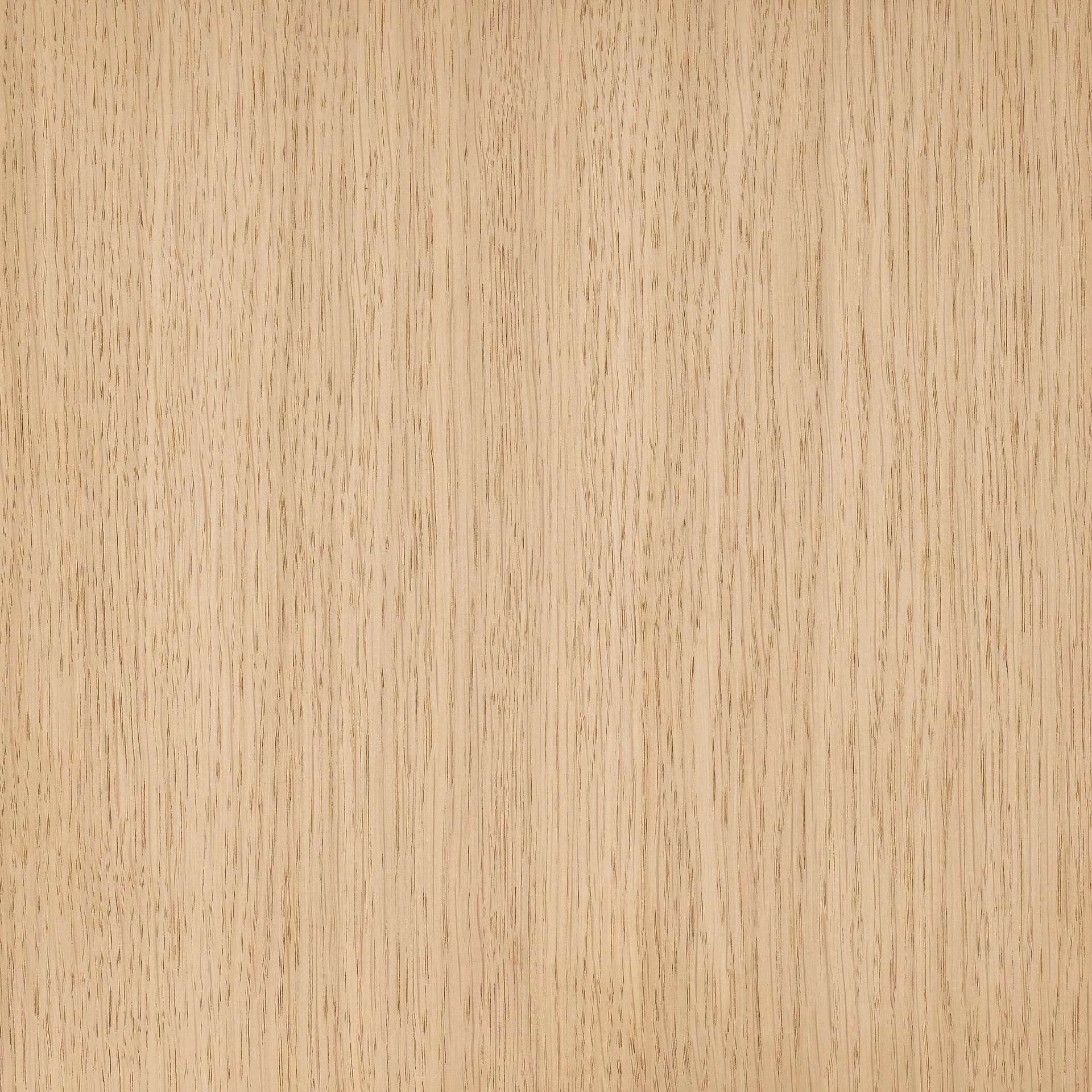 Untreated colour swatch on wood