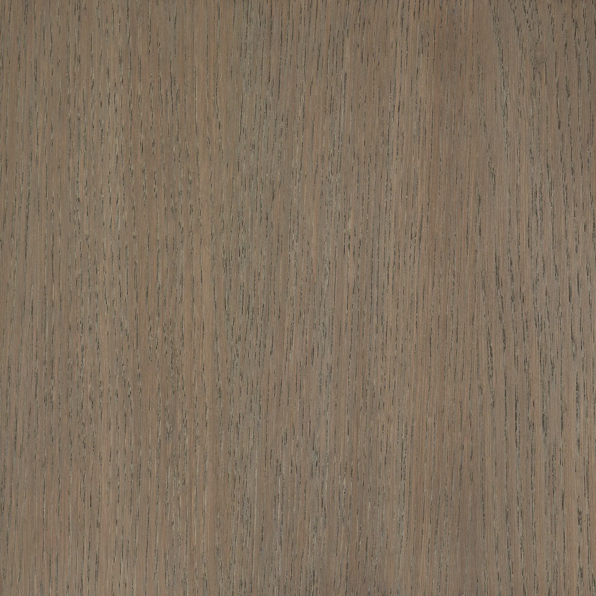 Terra Brown colour swatch on wood