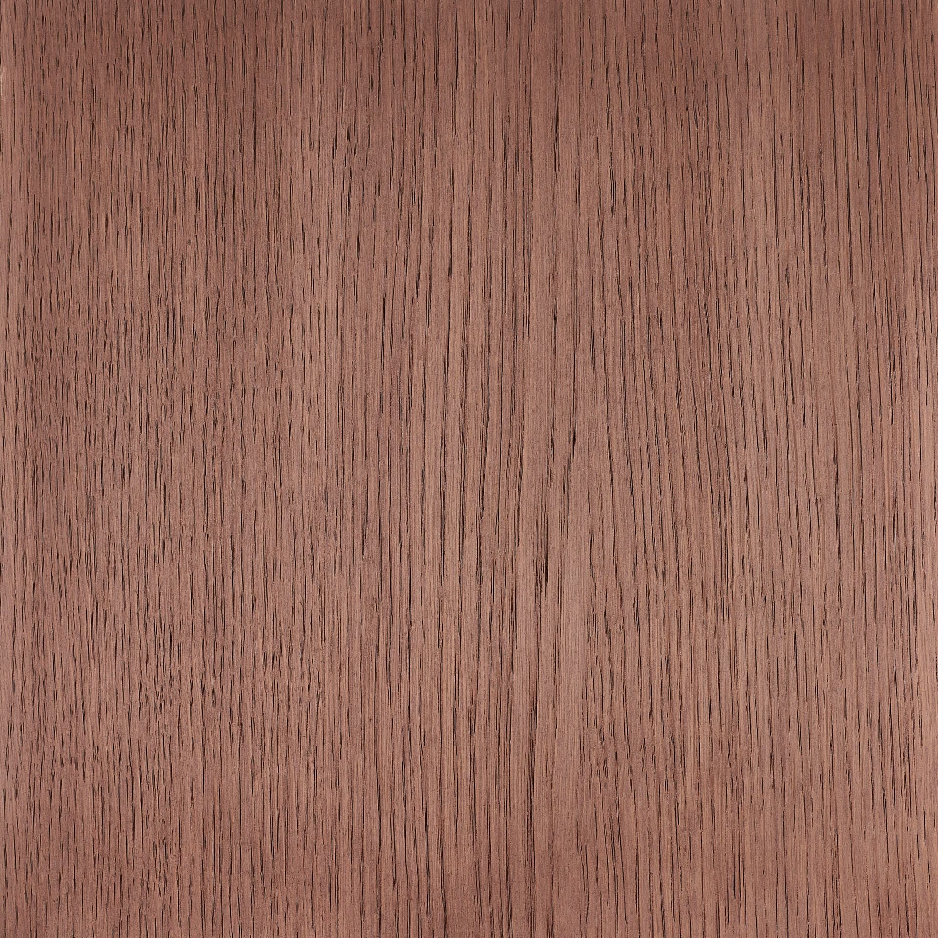 Arctic White colour swatch on wood