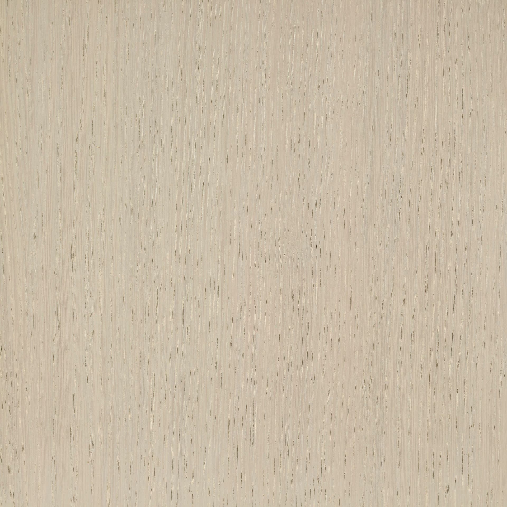 Arctic White colour swatch on wood