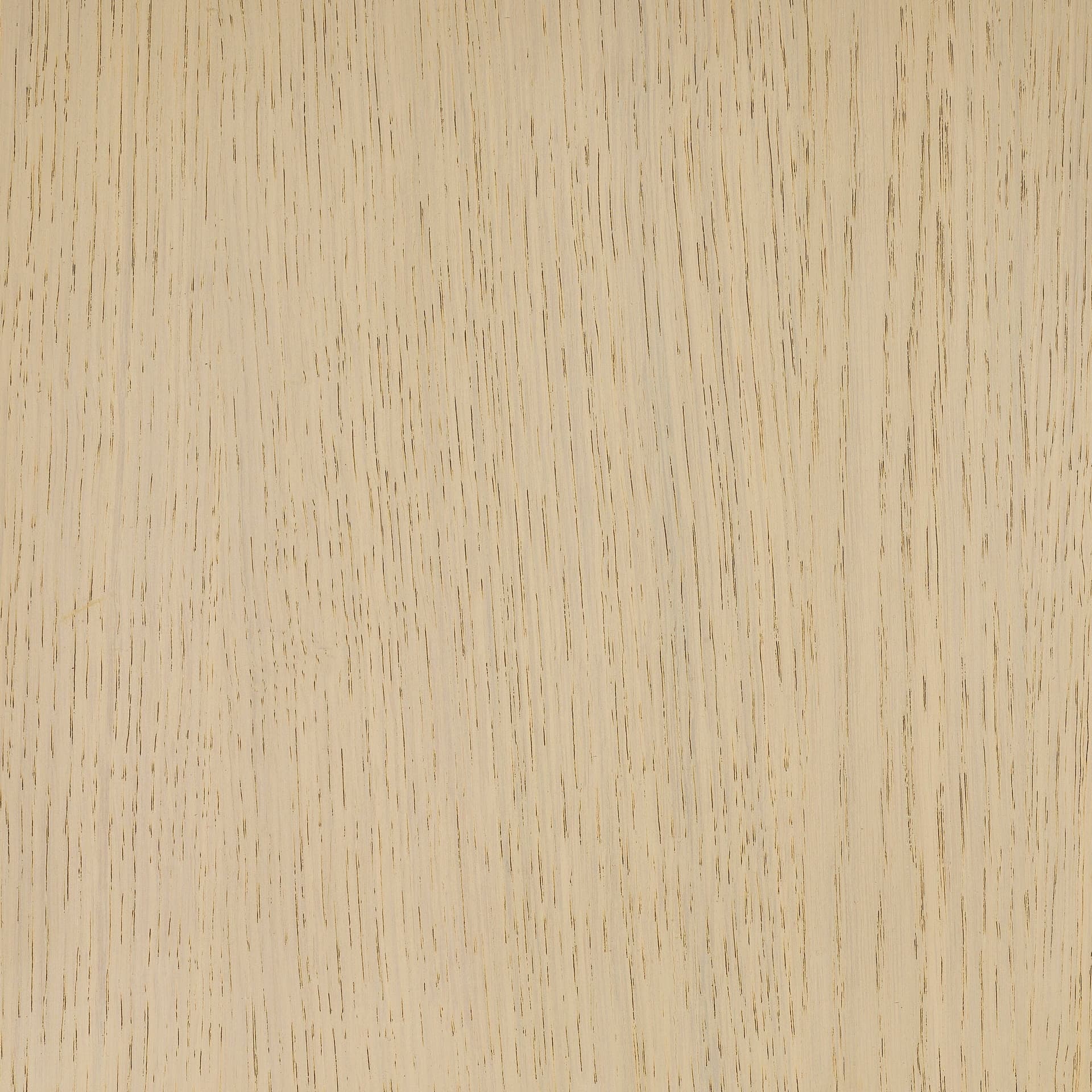 Arctic White colour swatch on wood