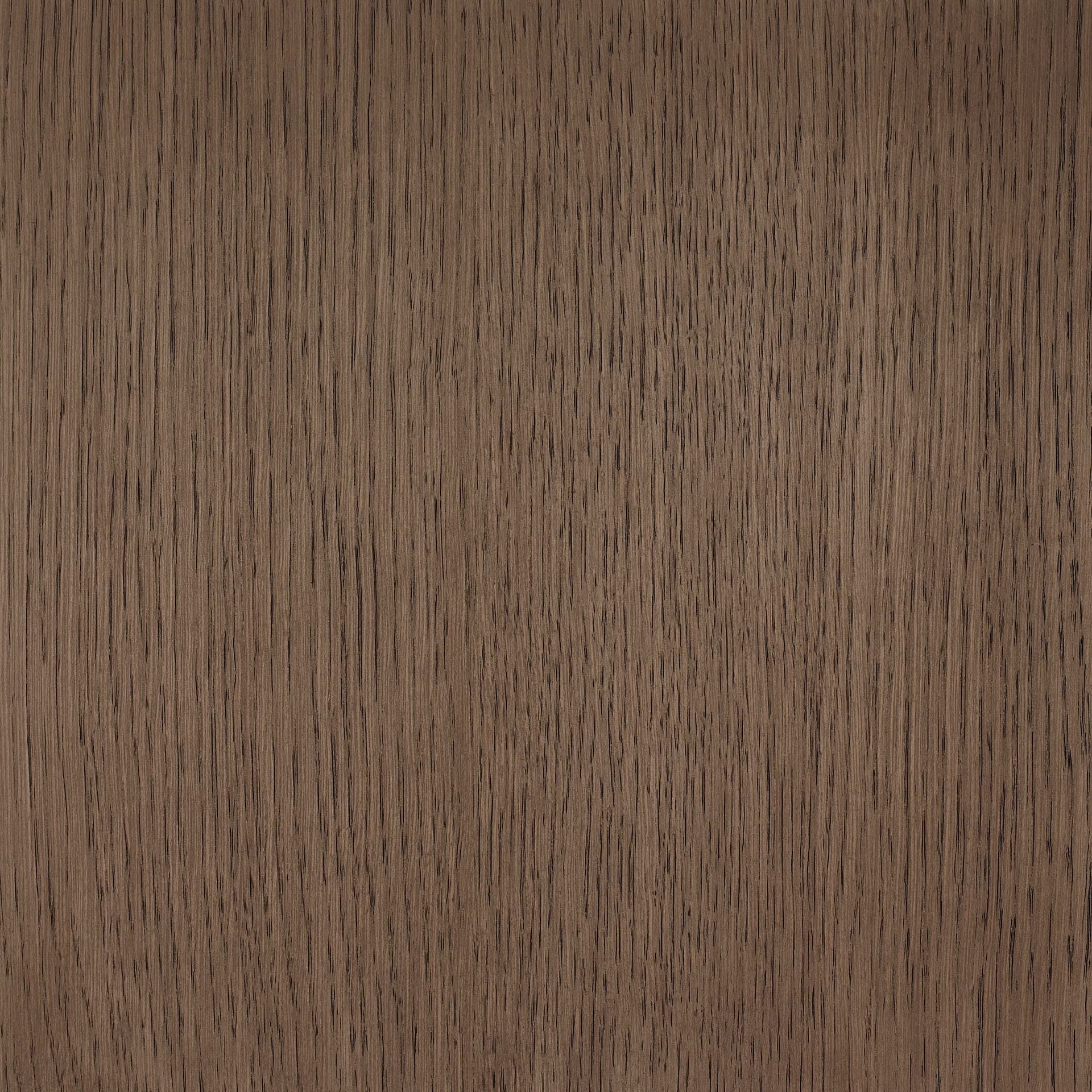 Neutral White colour swatch on wood