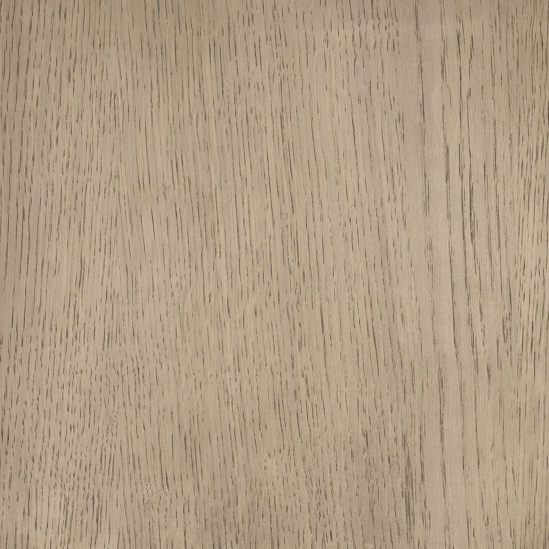 Arctic White colour swatch on wood