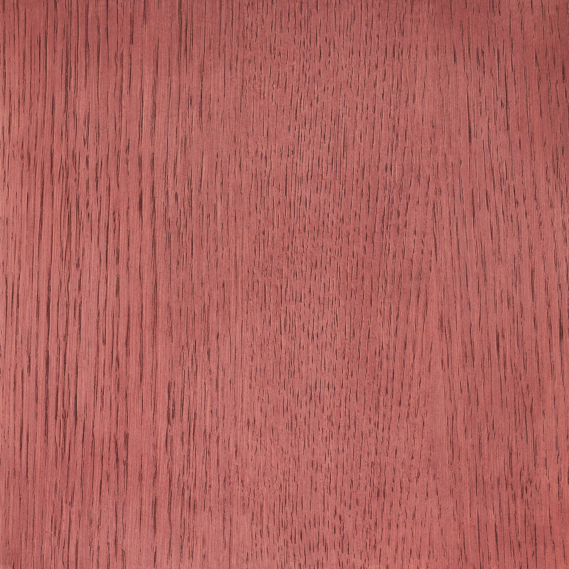 Arctic White colour swatch on wood