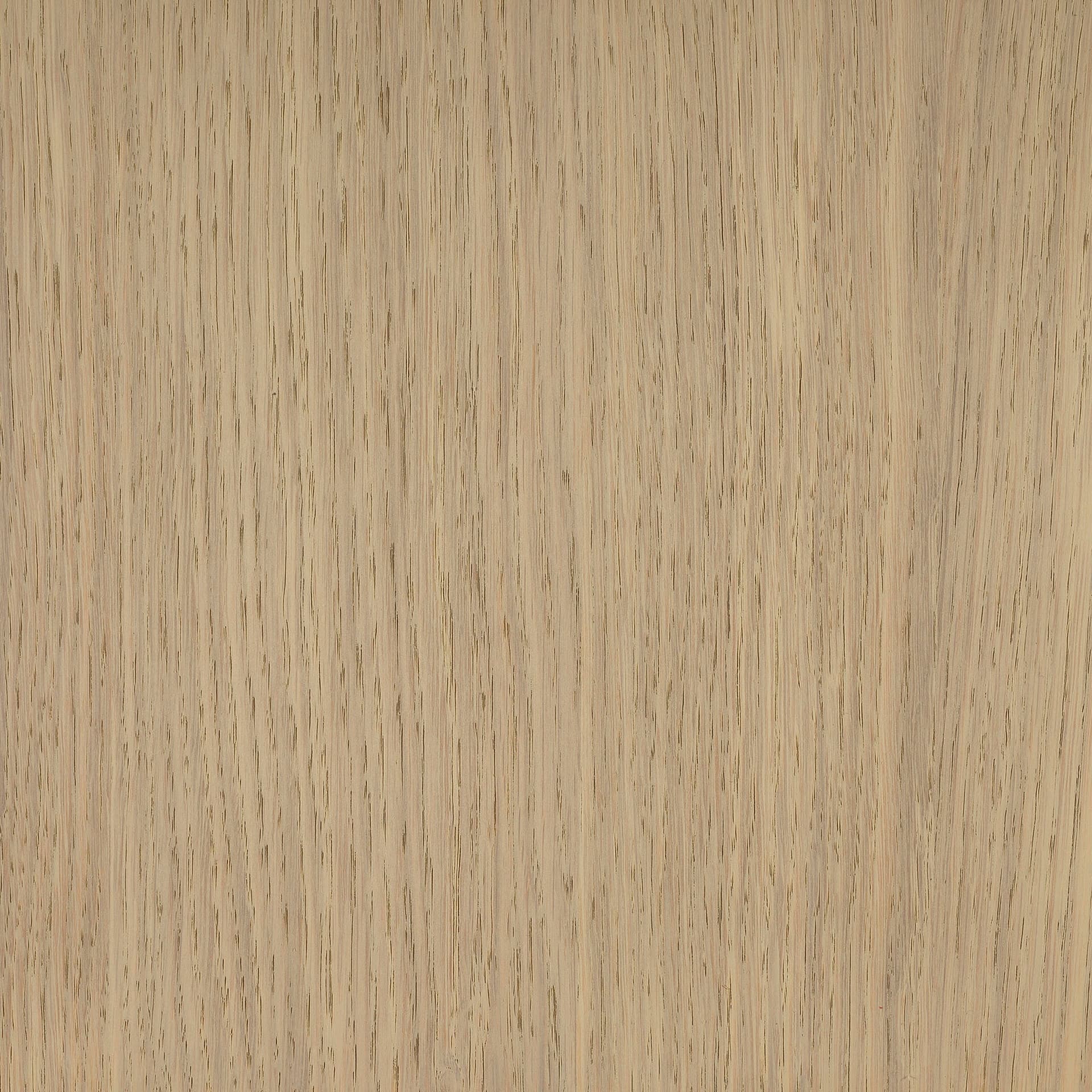 Neutral White colour swatch on wood