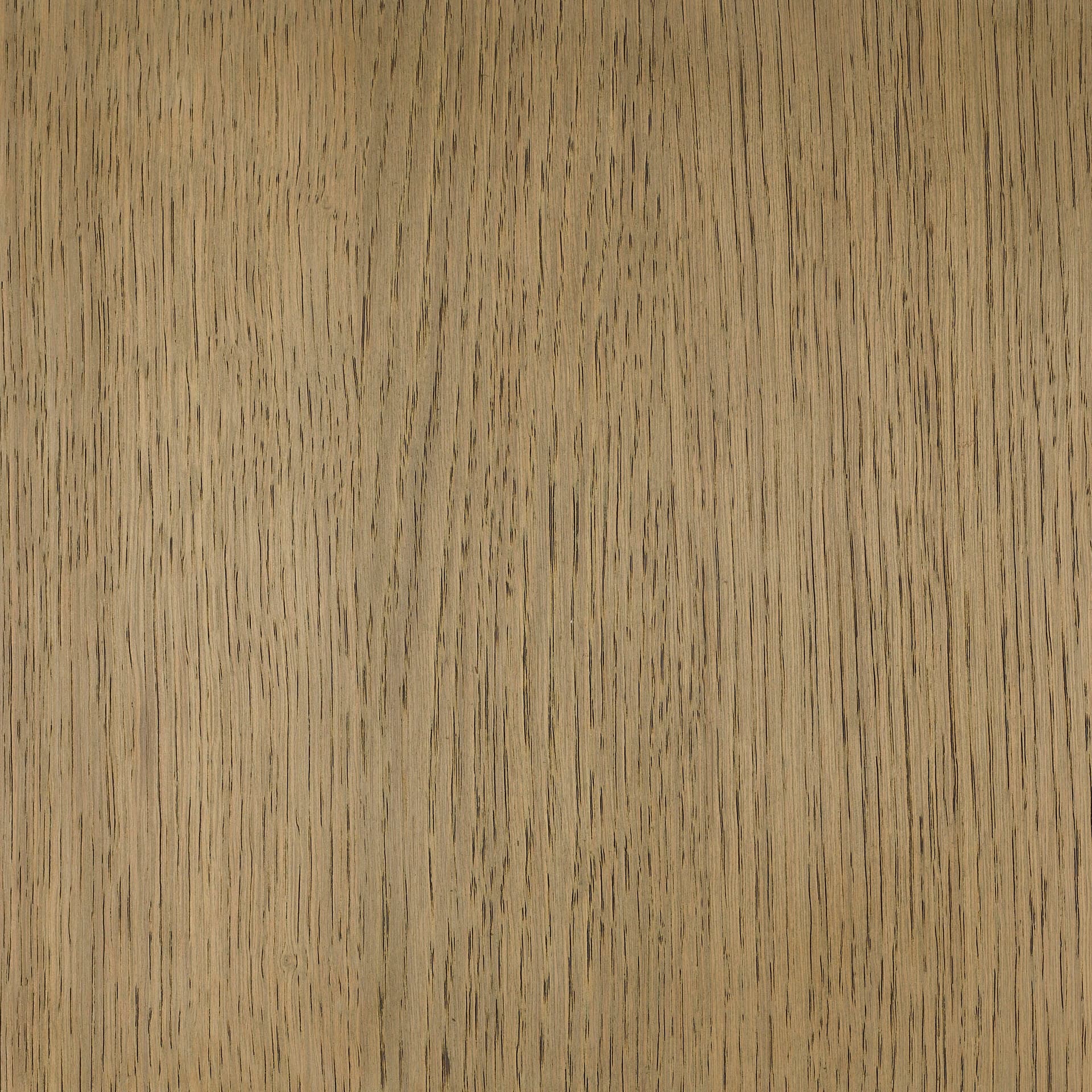 Neutral White colour swatch on wood