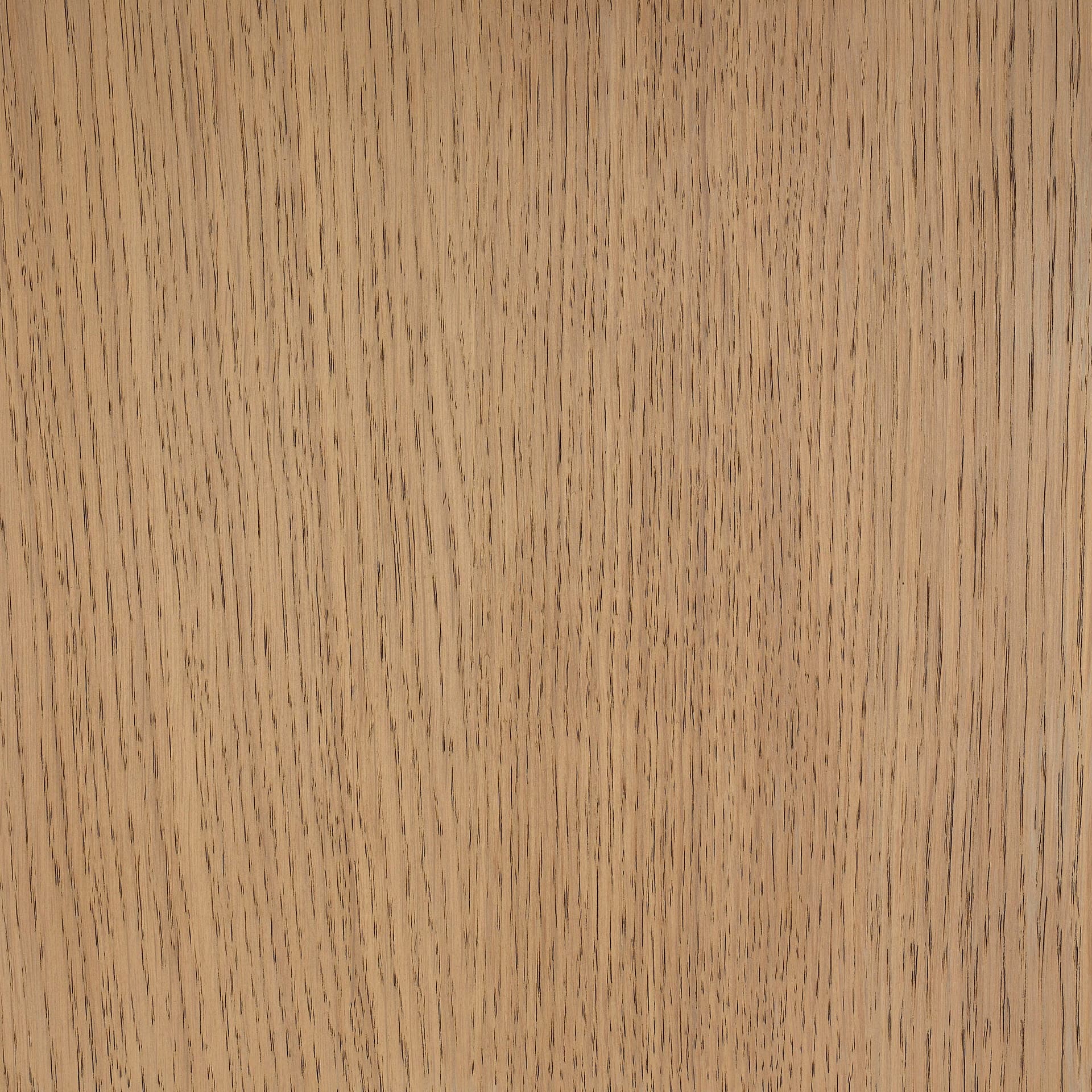 Neutral White colour swatch on wood