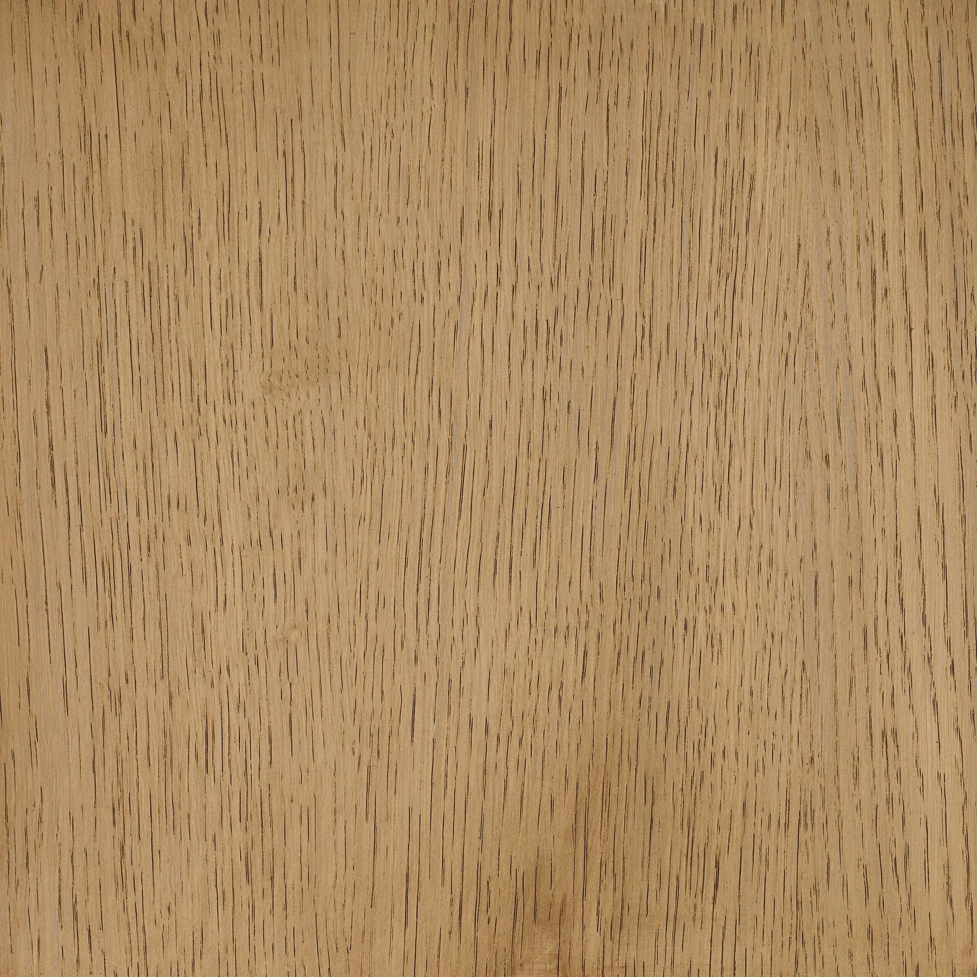 Arctic White colour swatch on wood