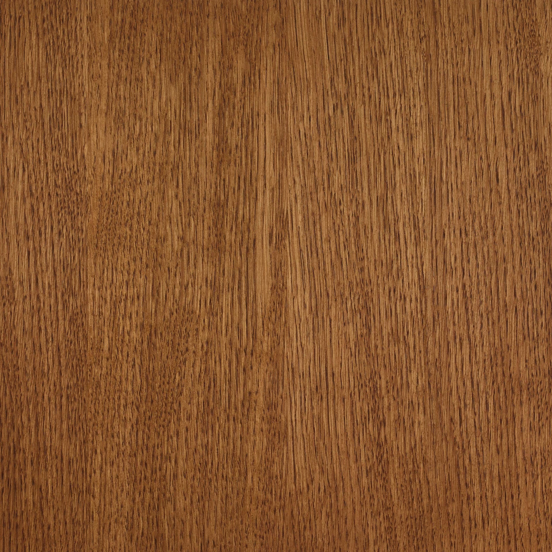 Hazelnut colour swatch on wood
