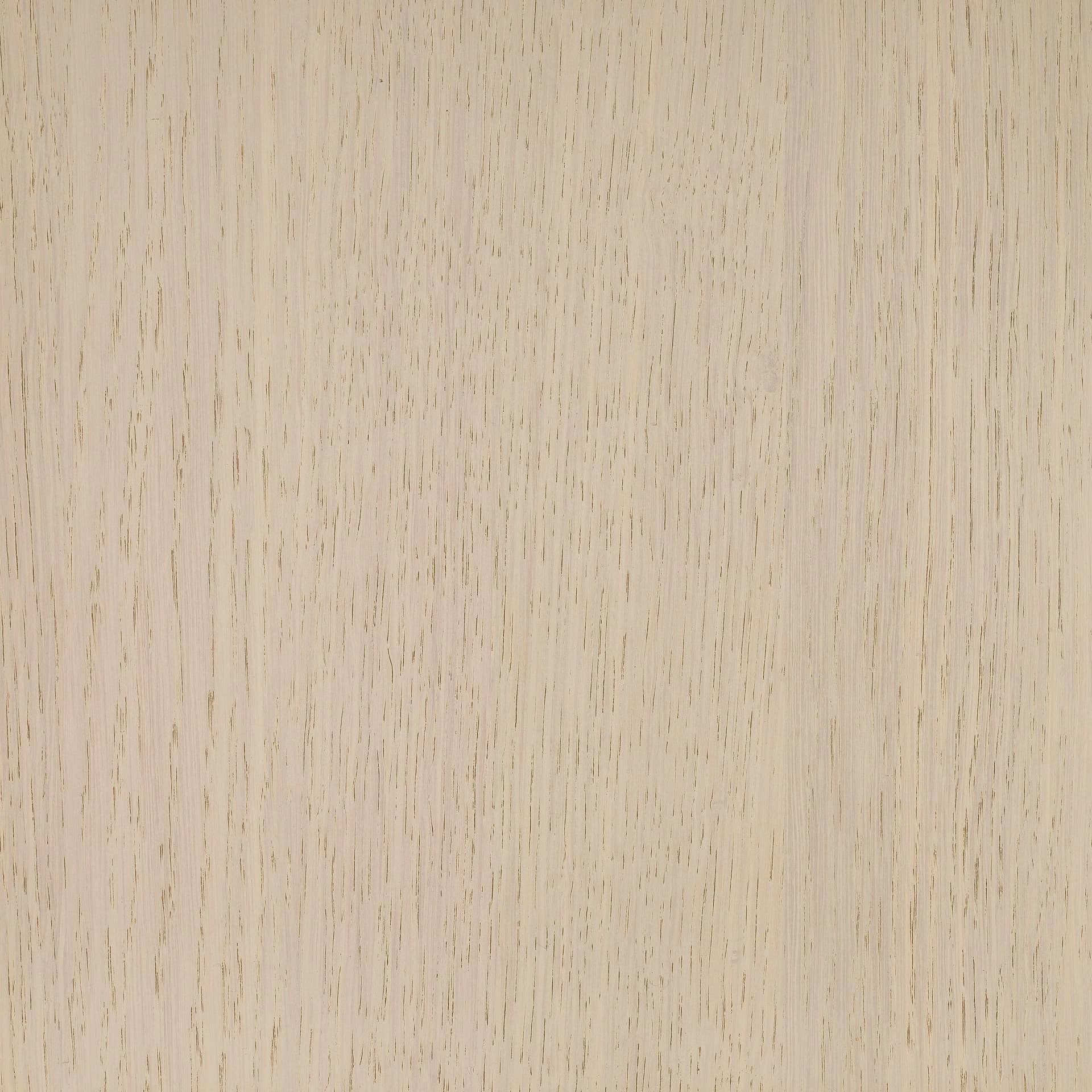Arctic White colour swatch on wood